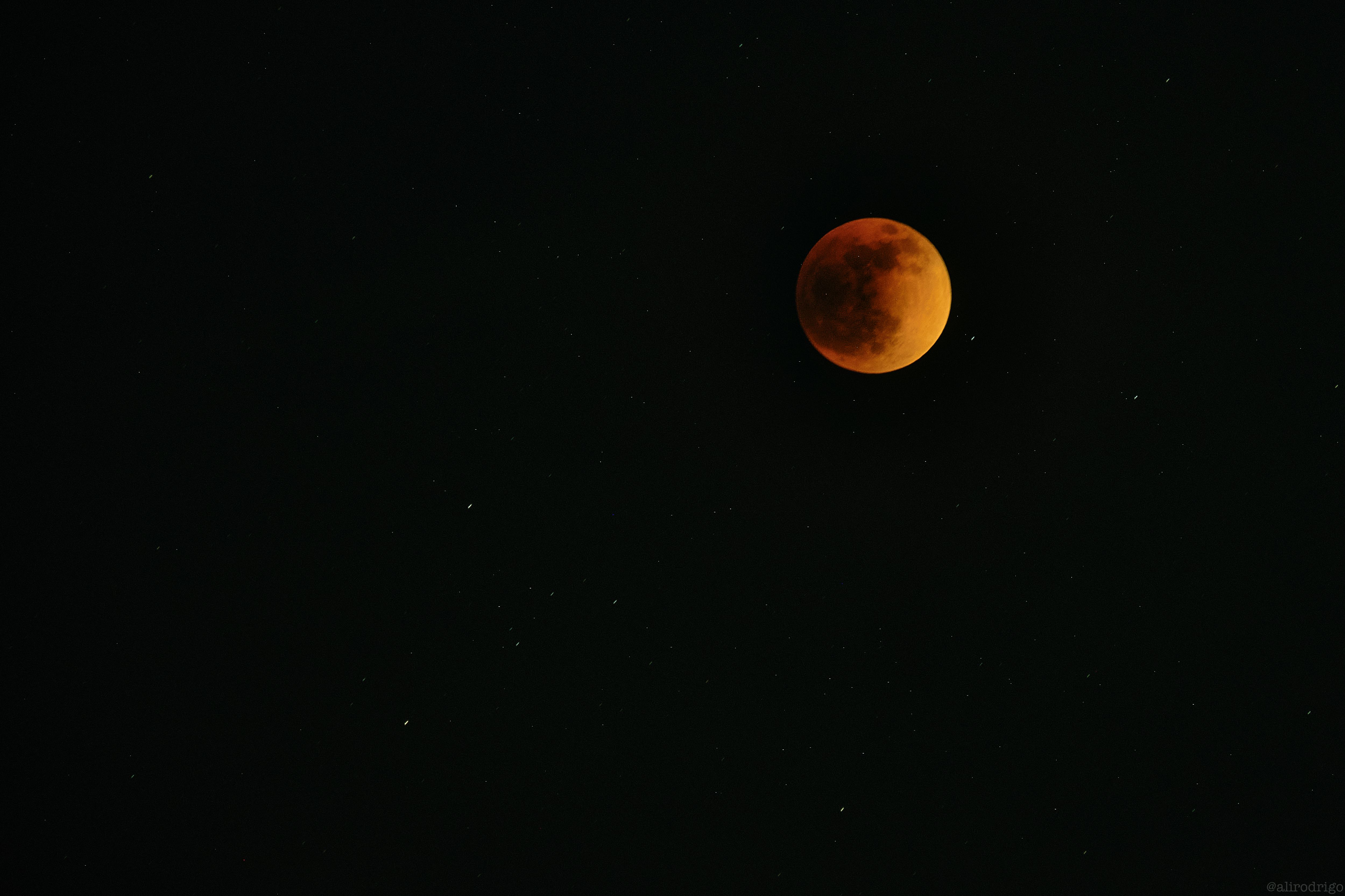 DSCF4983.jpg