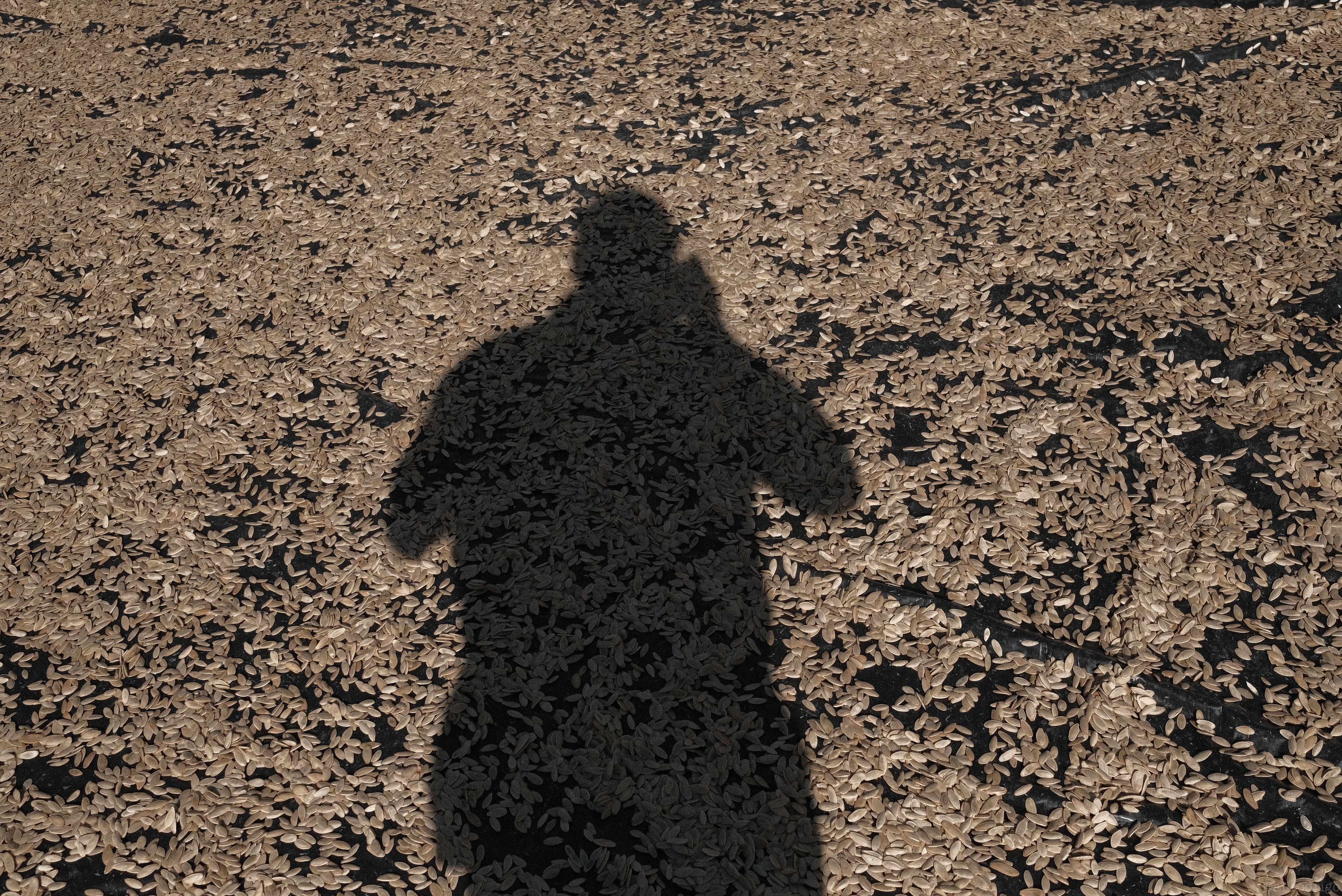 DSCF7362.jpg