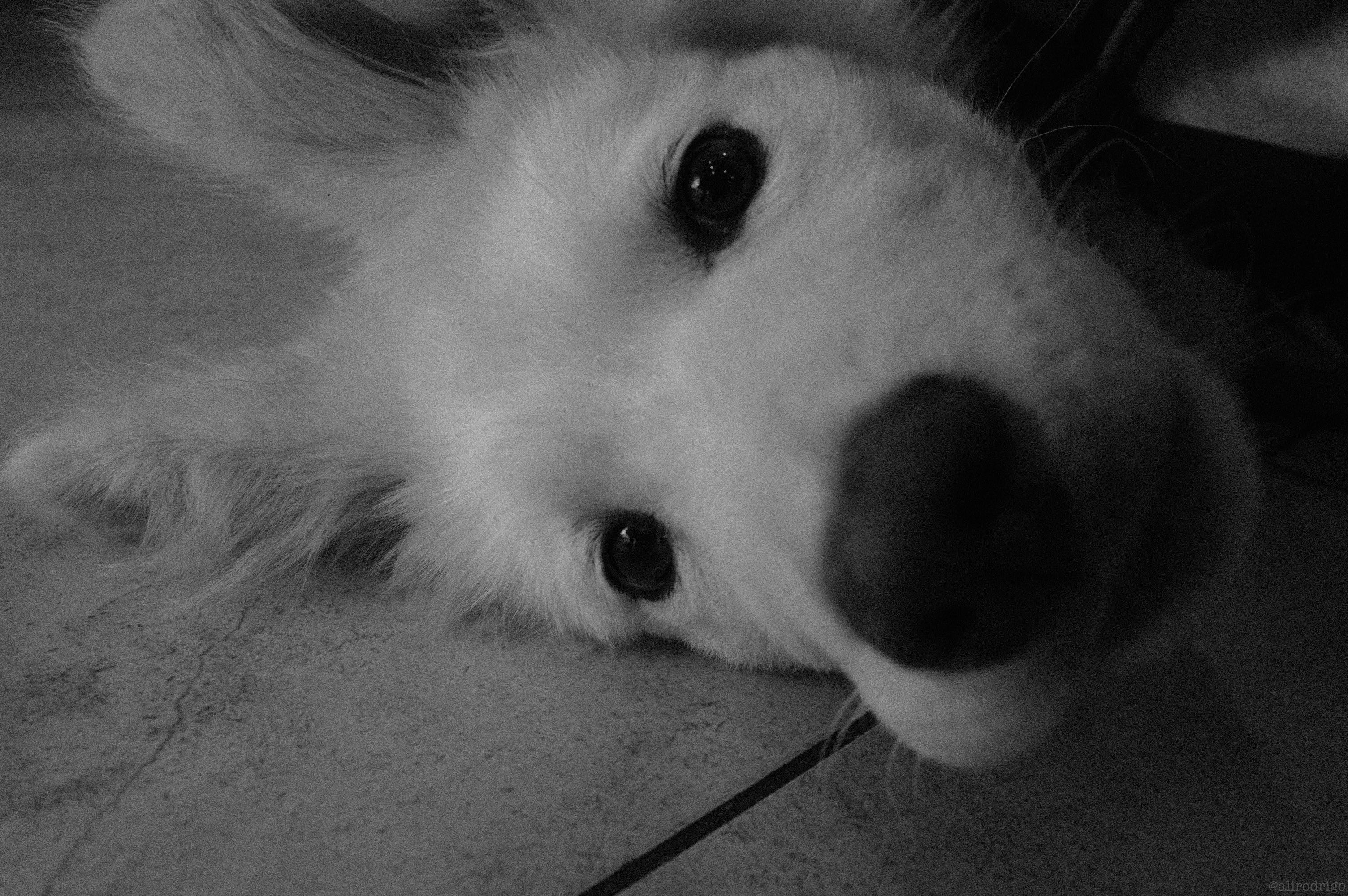 DSCF7585.jpg
