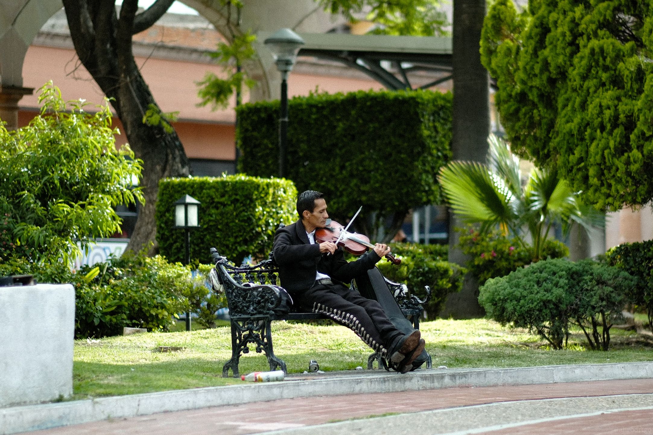 DSCF7706.jpg