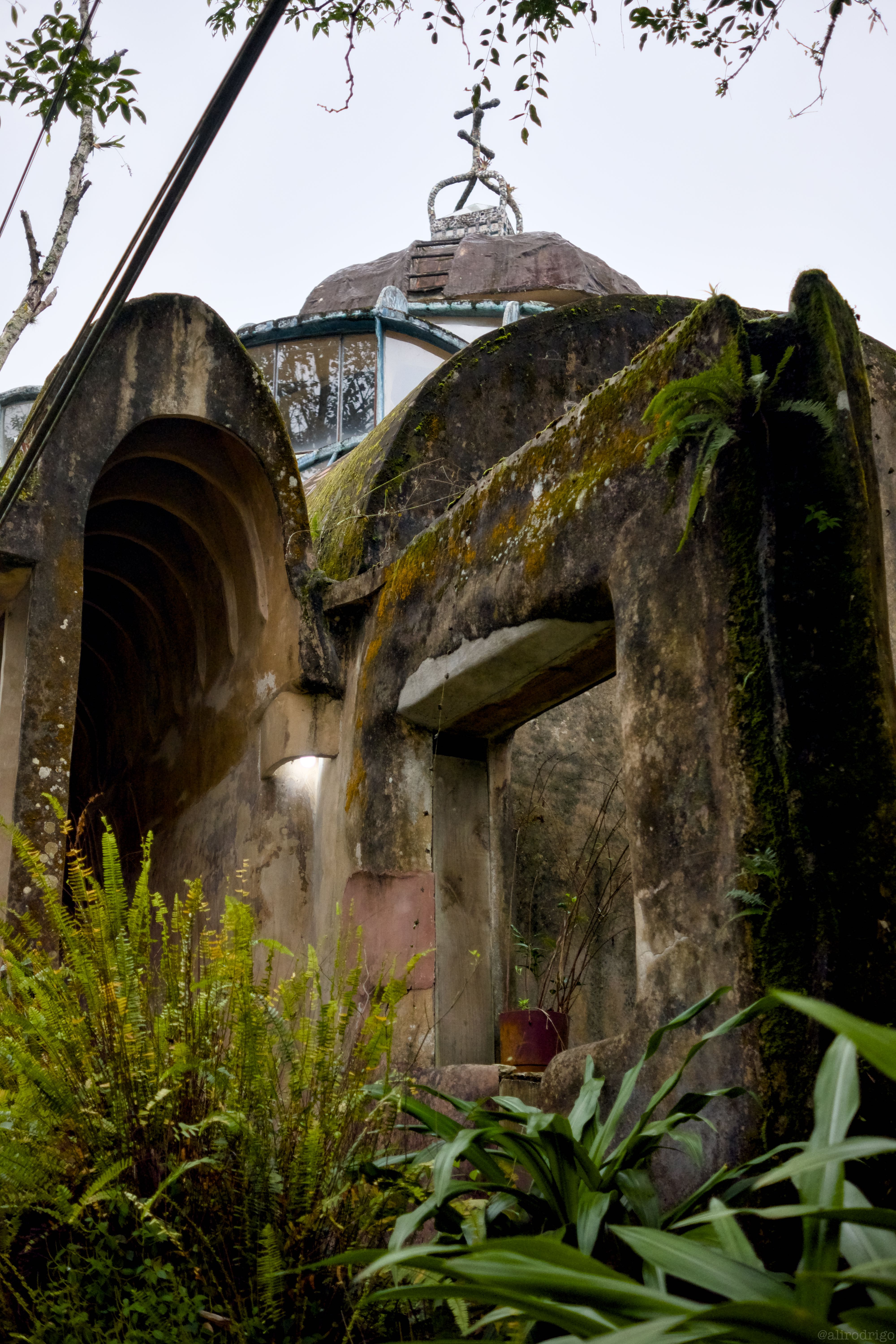 DSCF8719.jpg