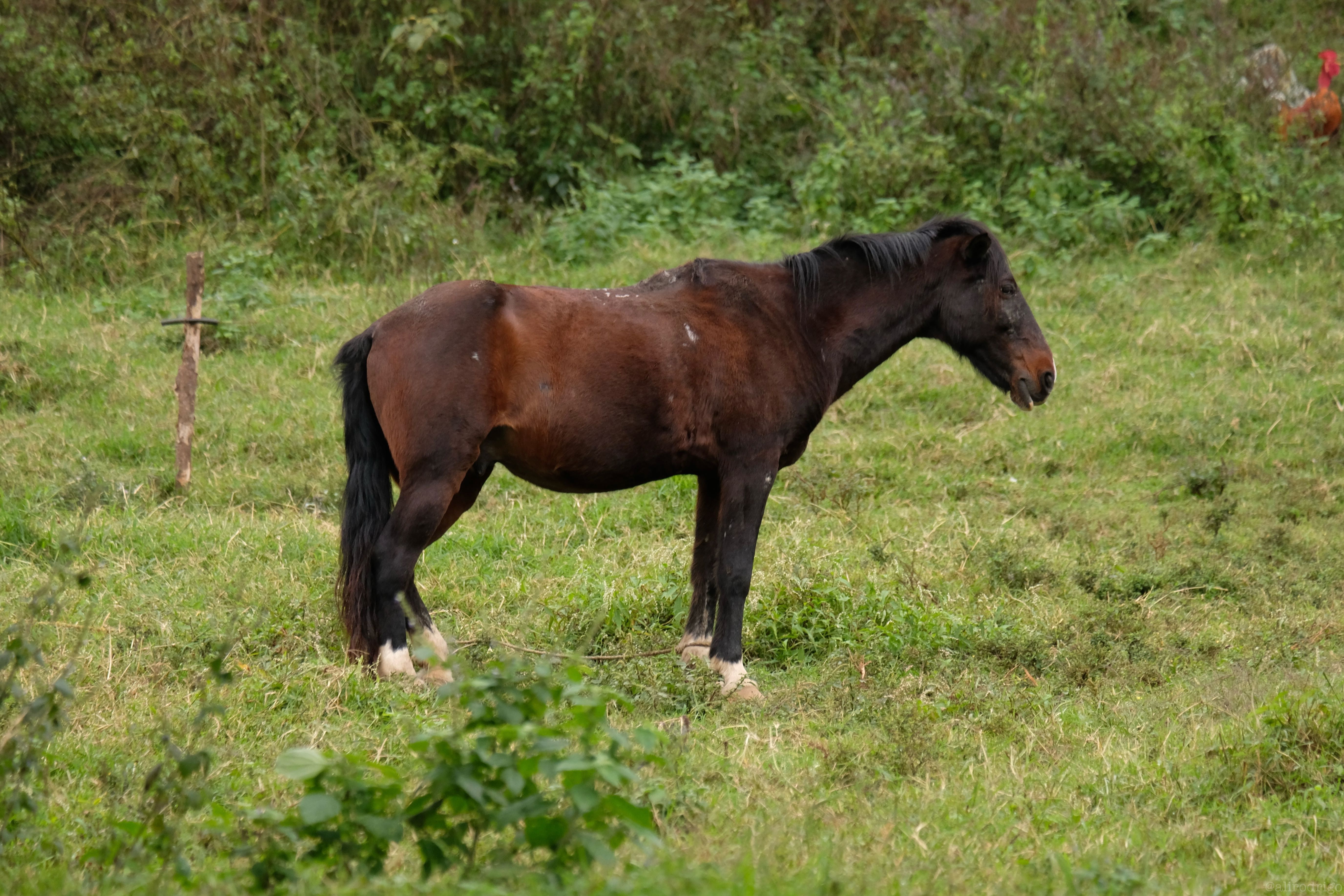 DSCF8739.jpg