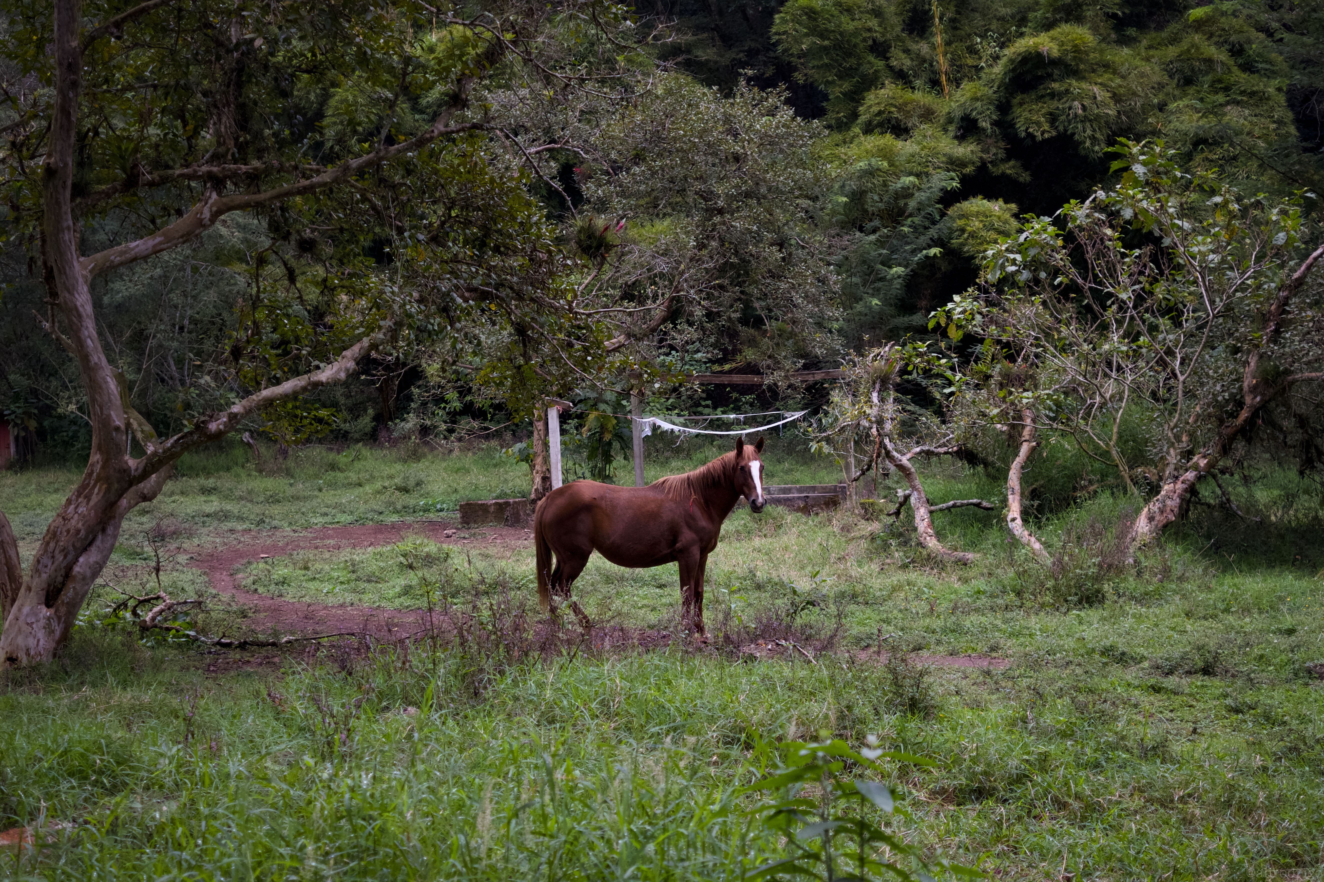 DSCF8753.jpg