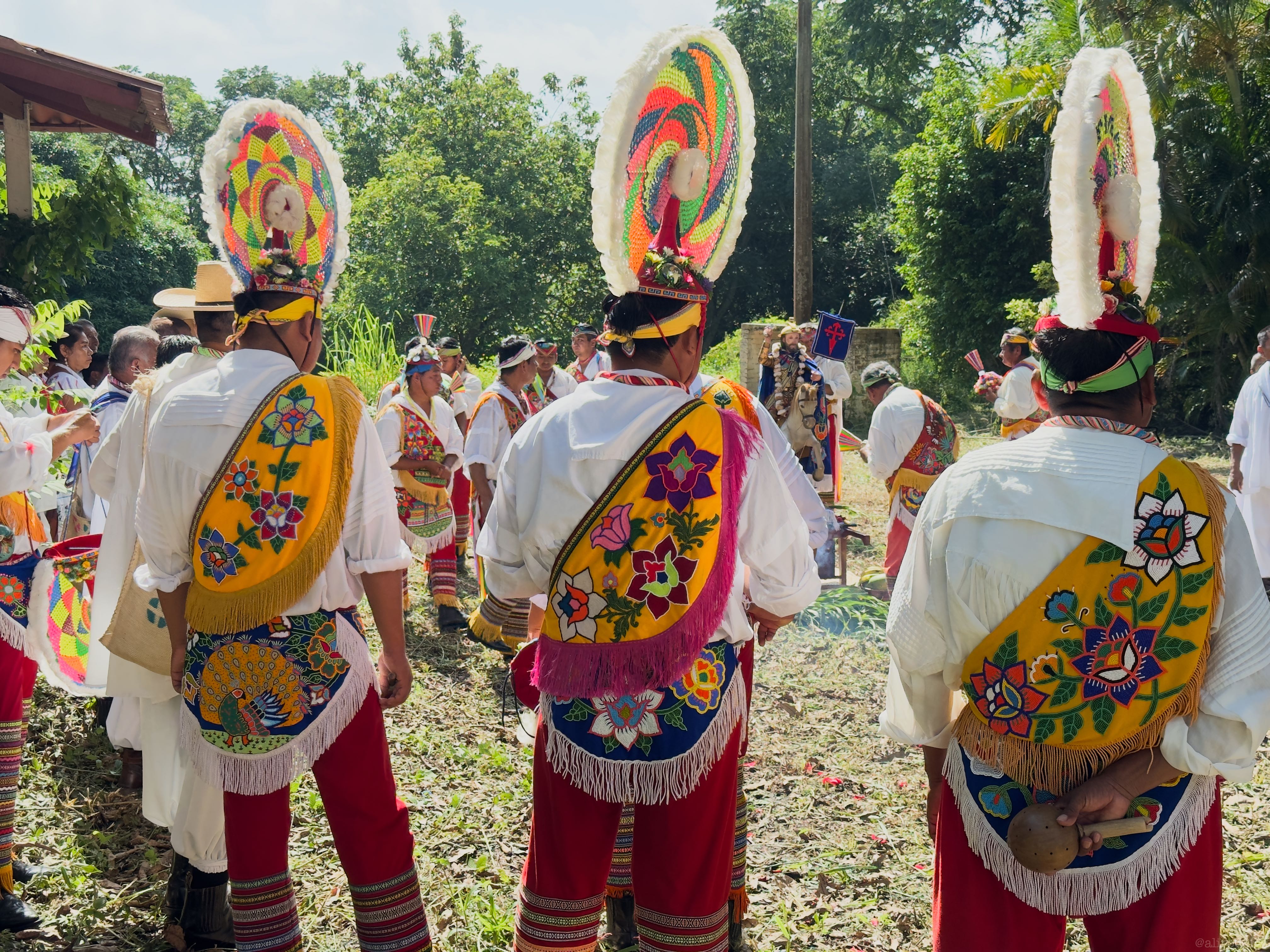IMG_2380.jpg