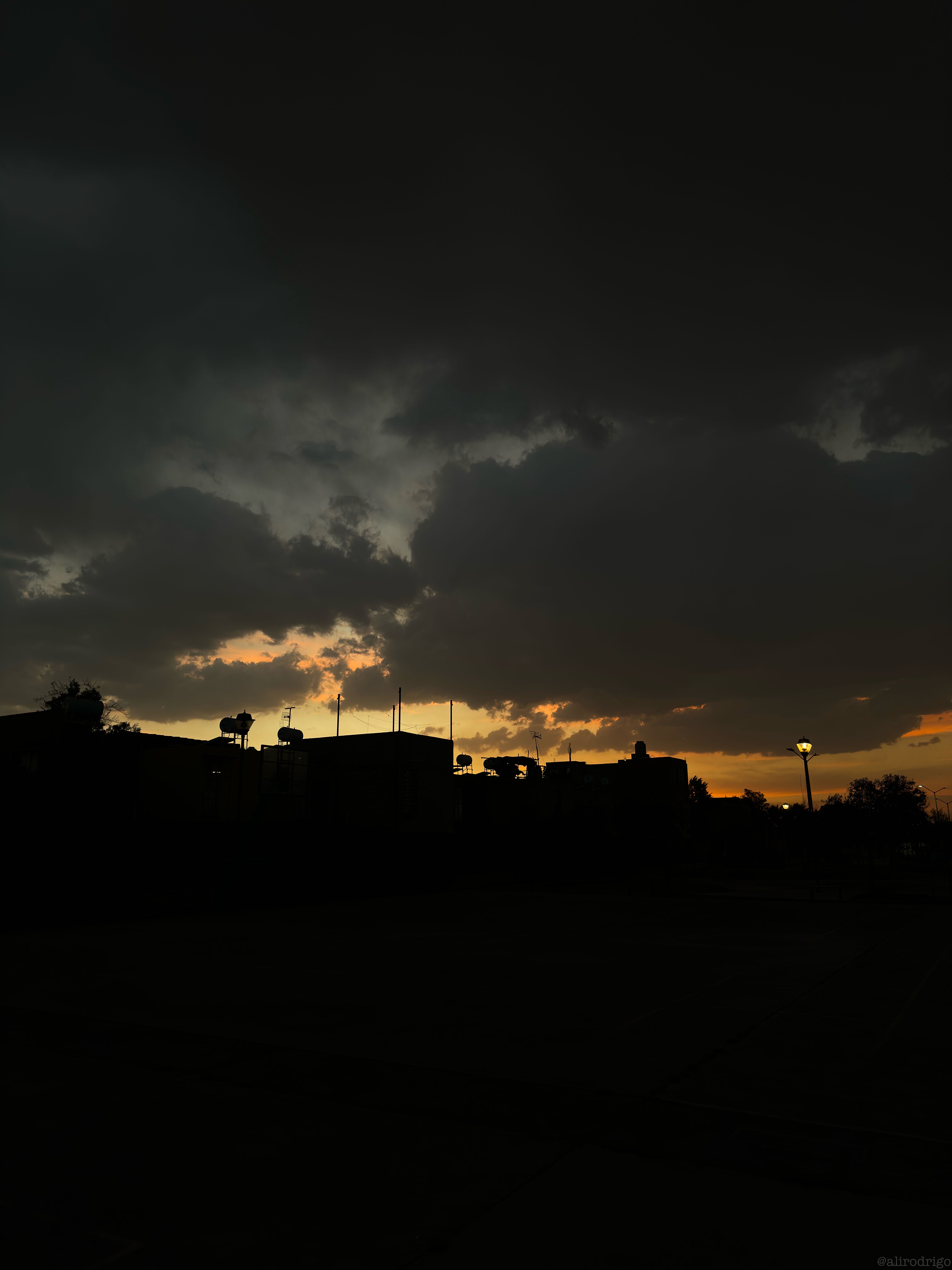 IMG_9831.jpg