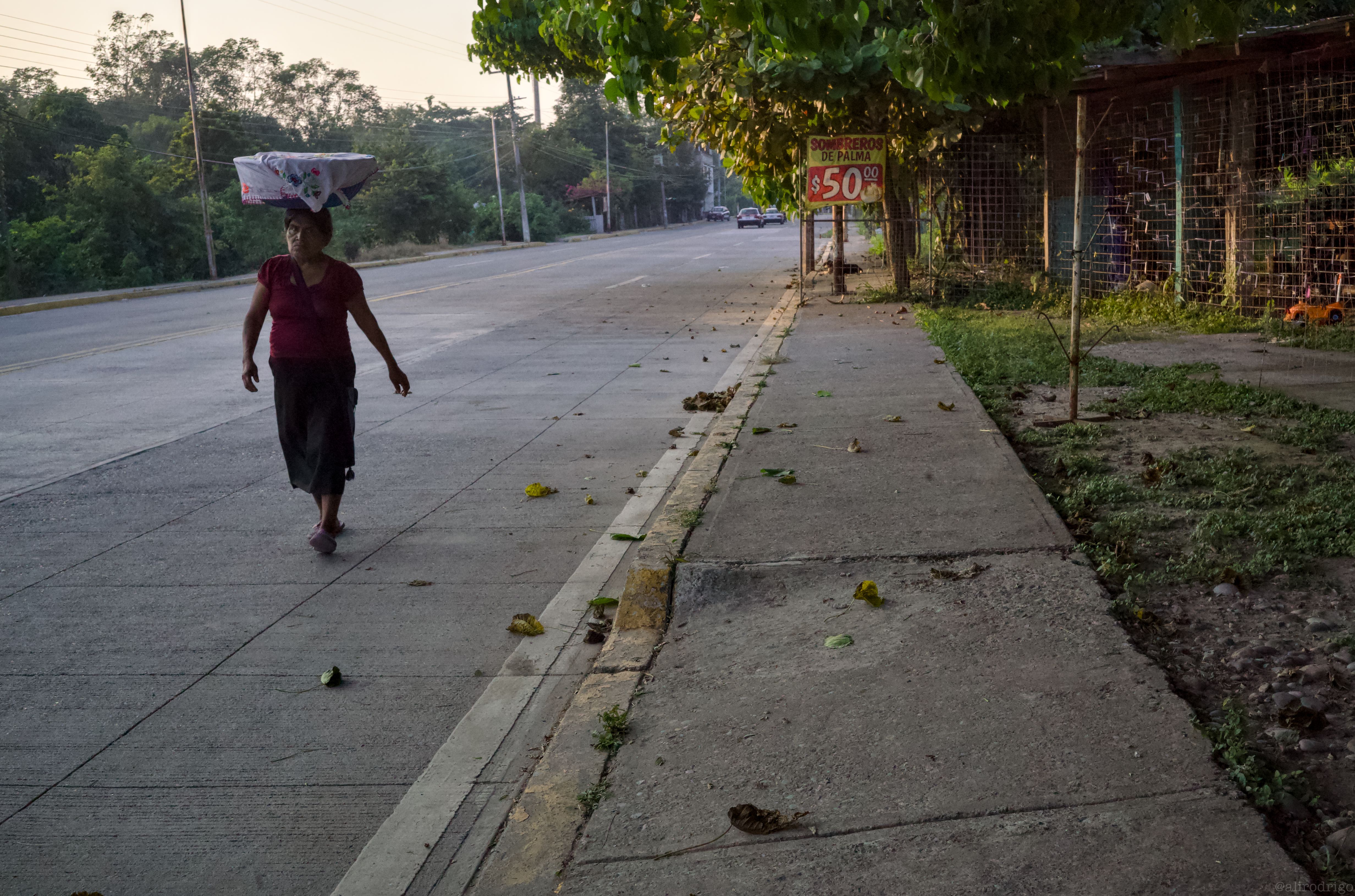 L1000302.jpg