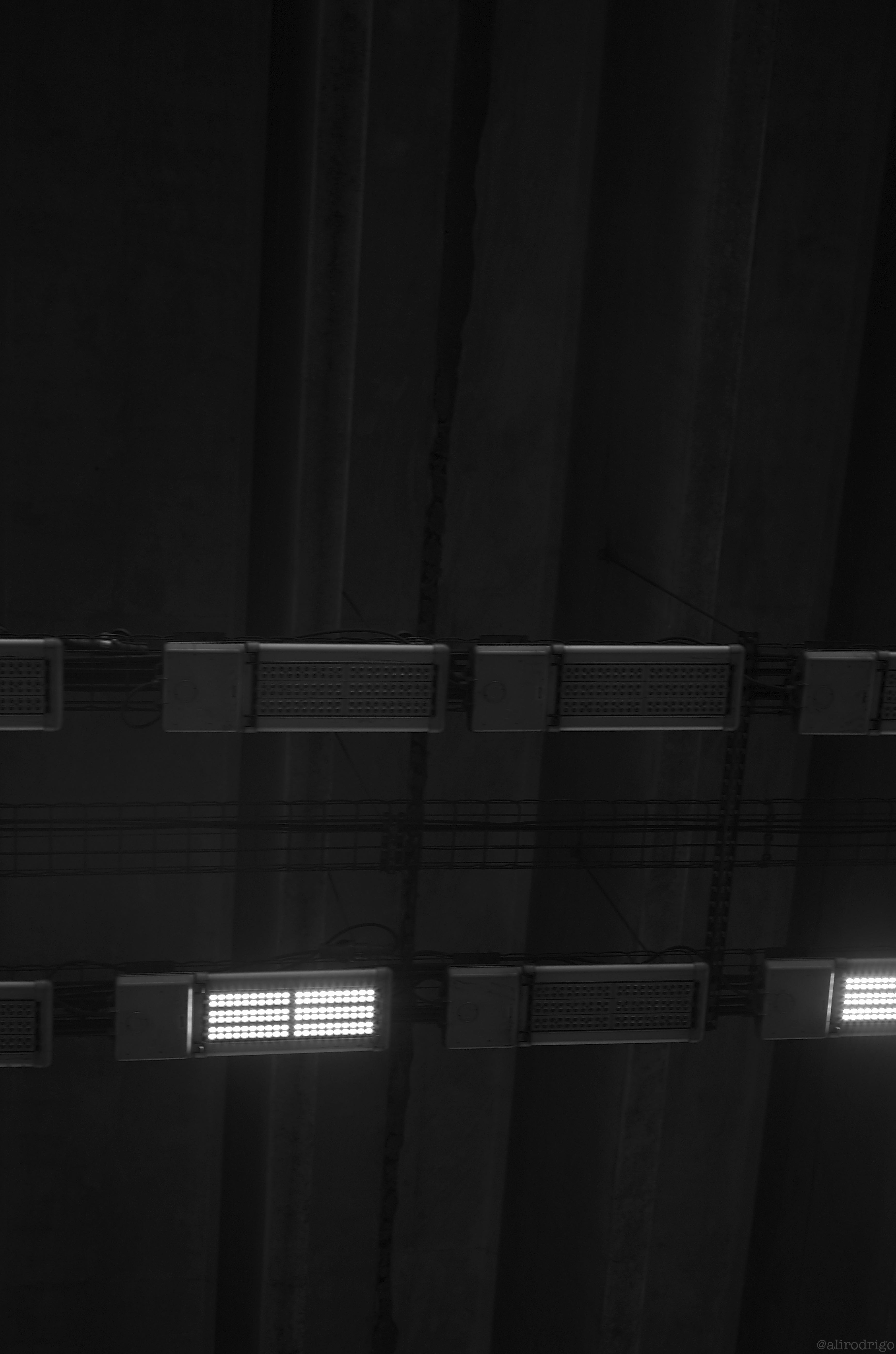 L1000483.jpg