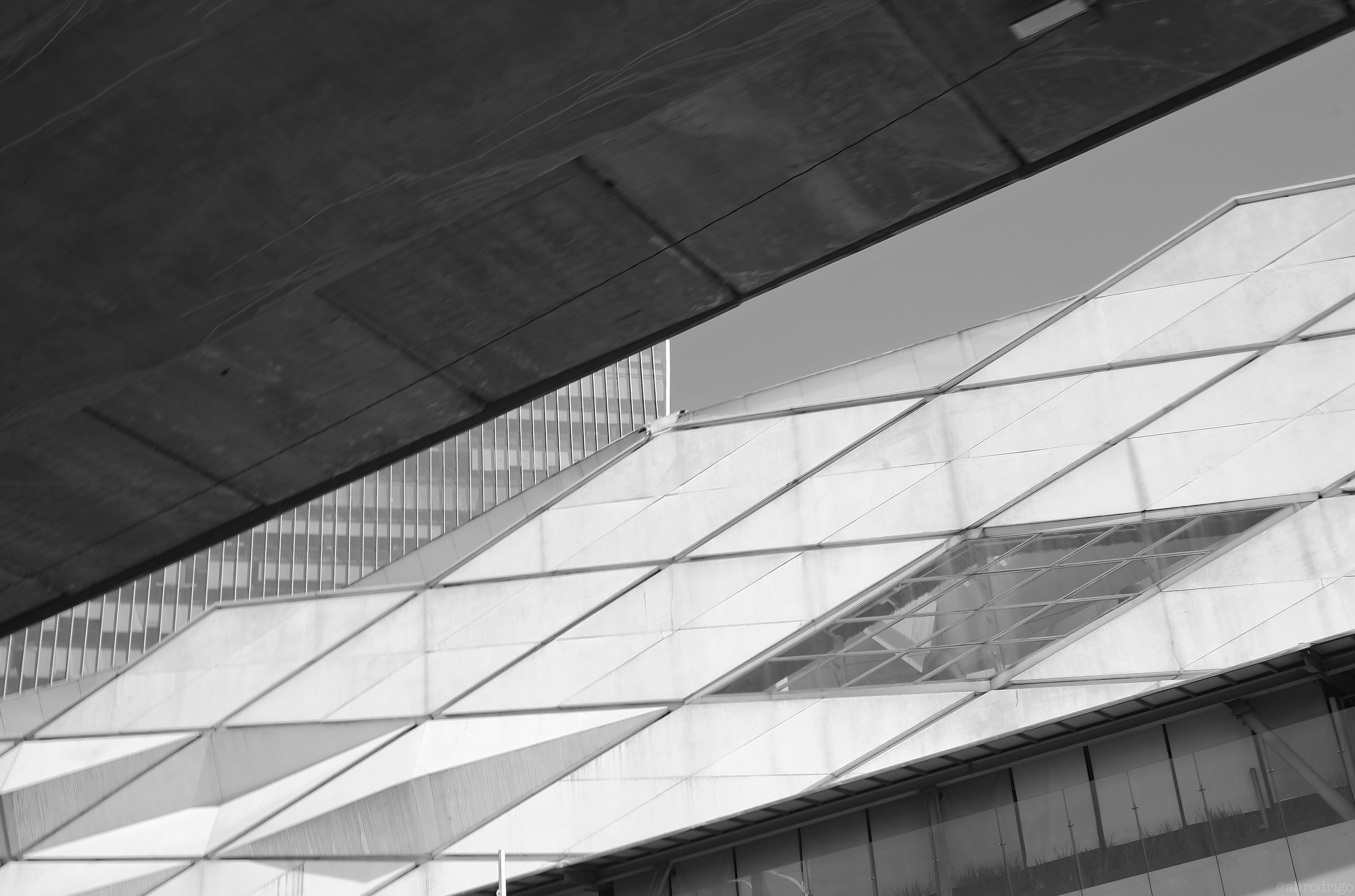 L1000514.jpg