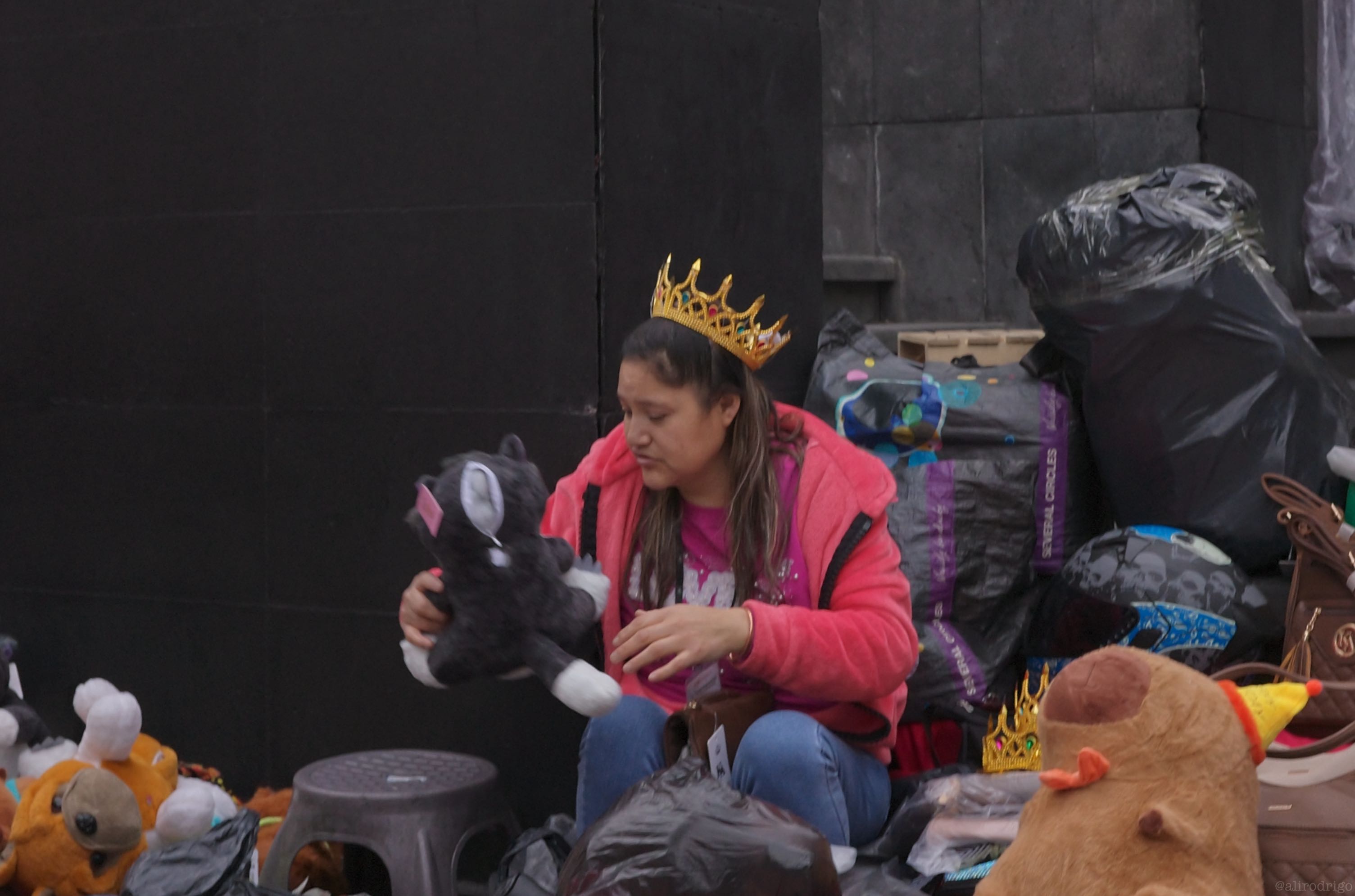 L1000919.jpg
