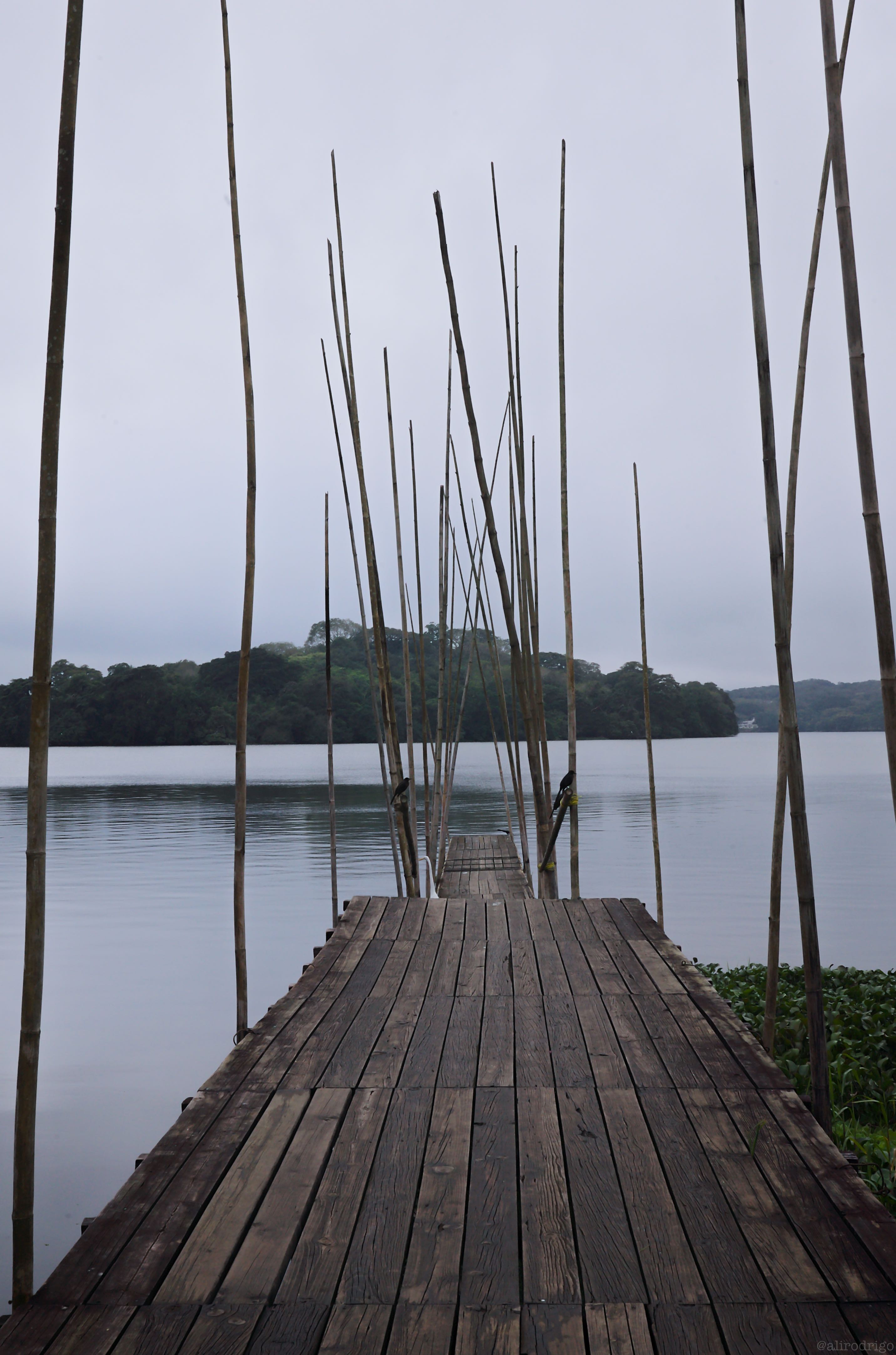 L1001287.jpg