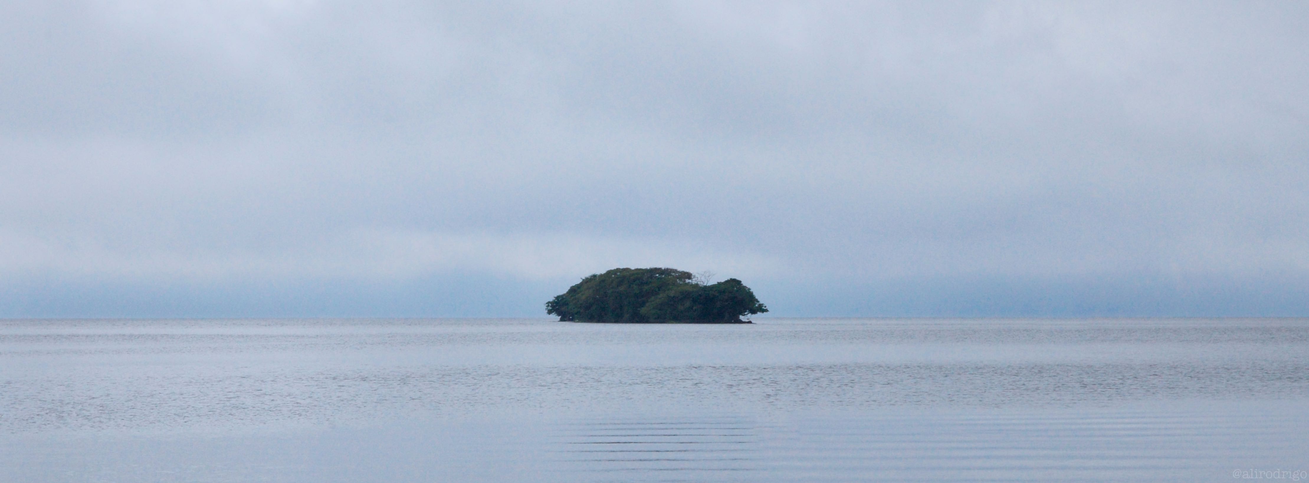 L1001313.jpg