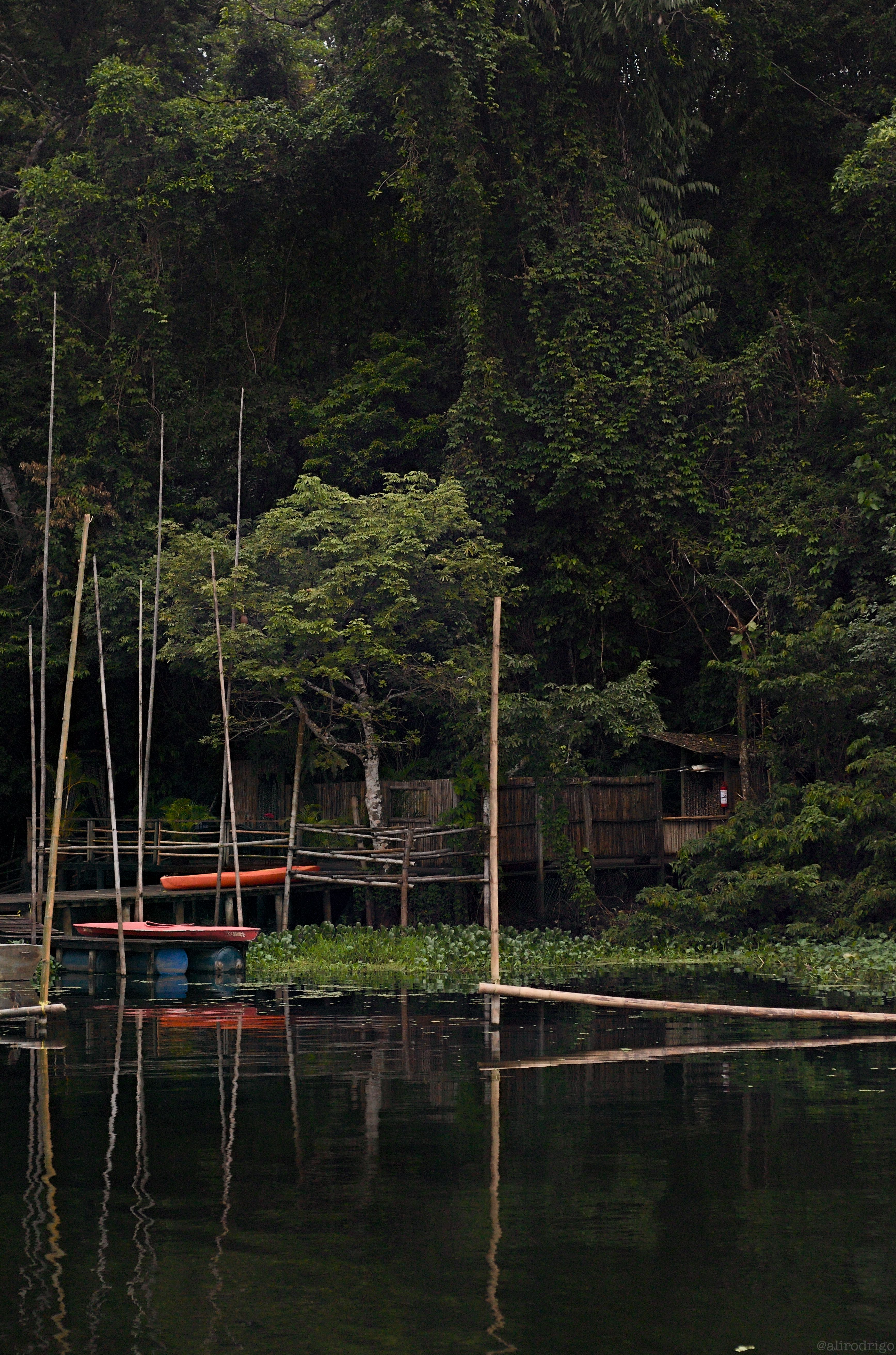 L1001318.jpg