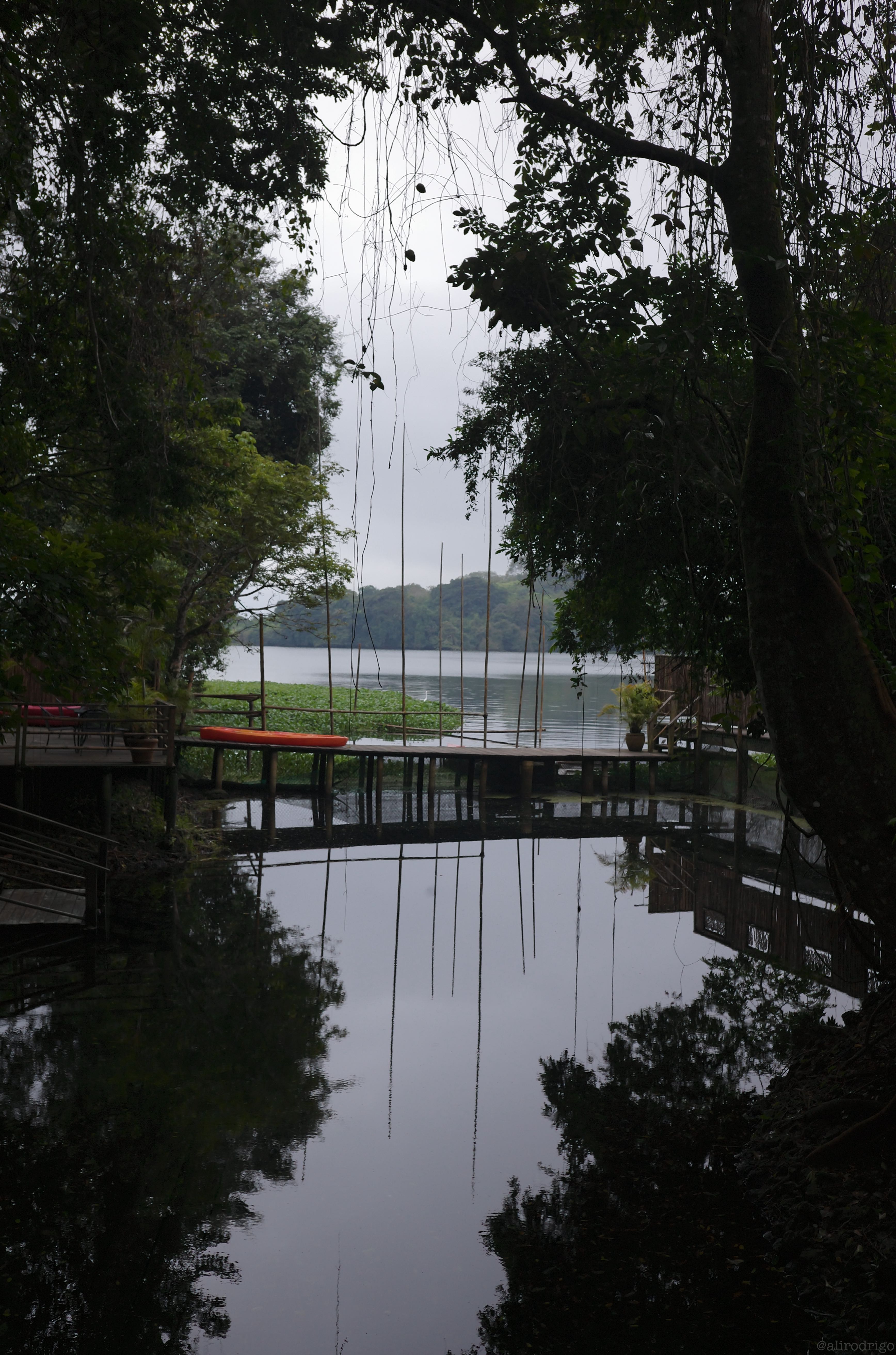 L1001326.jpg