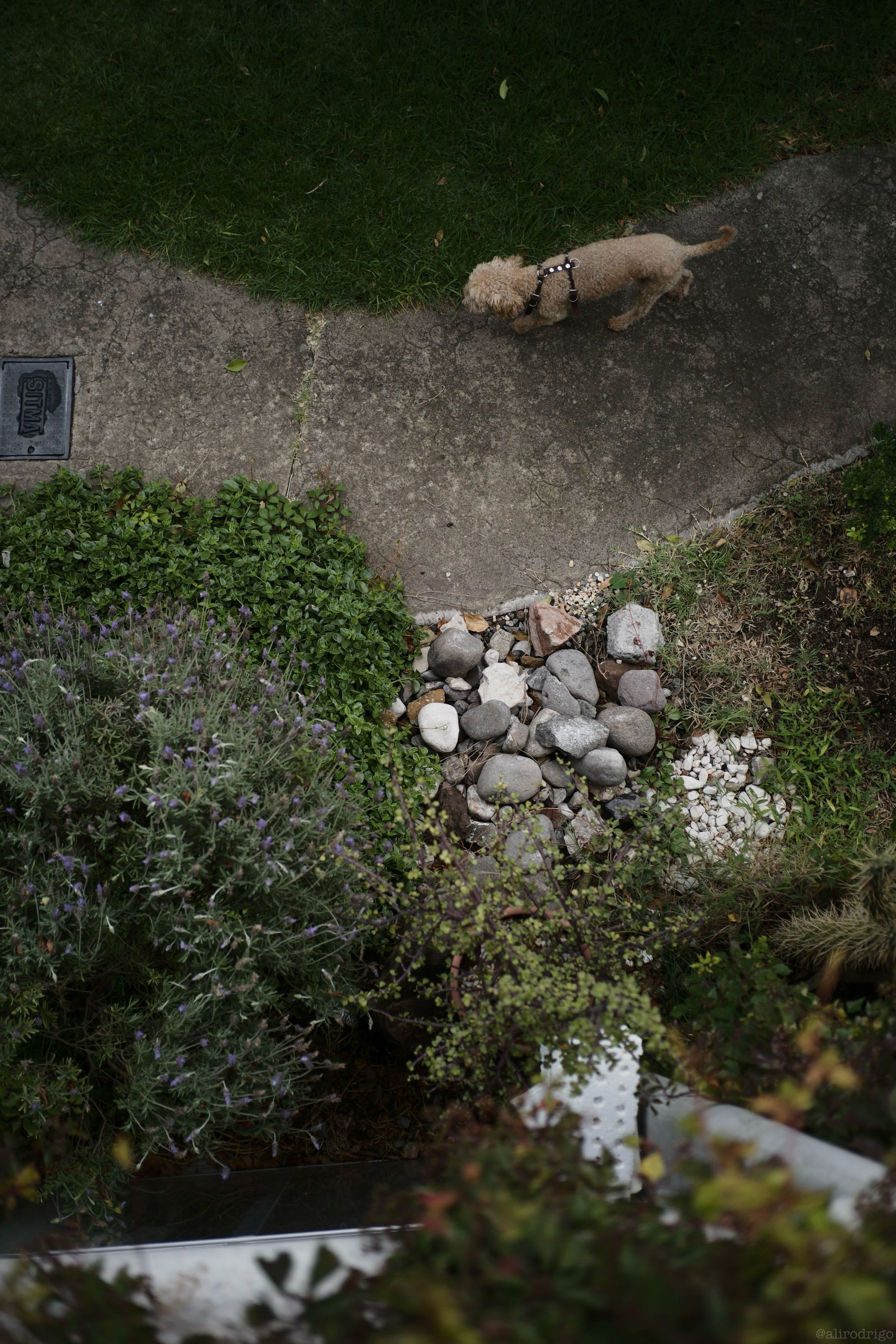 L1001378.jpg