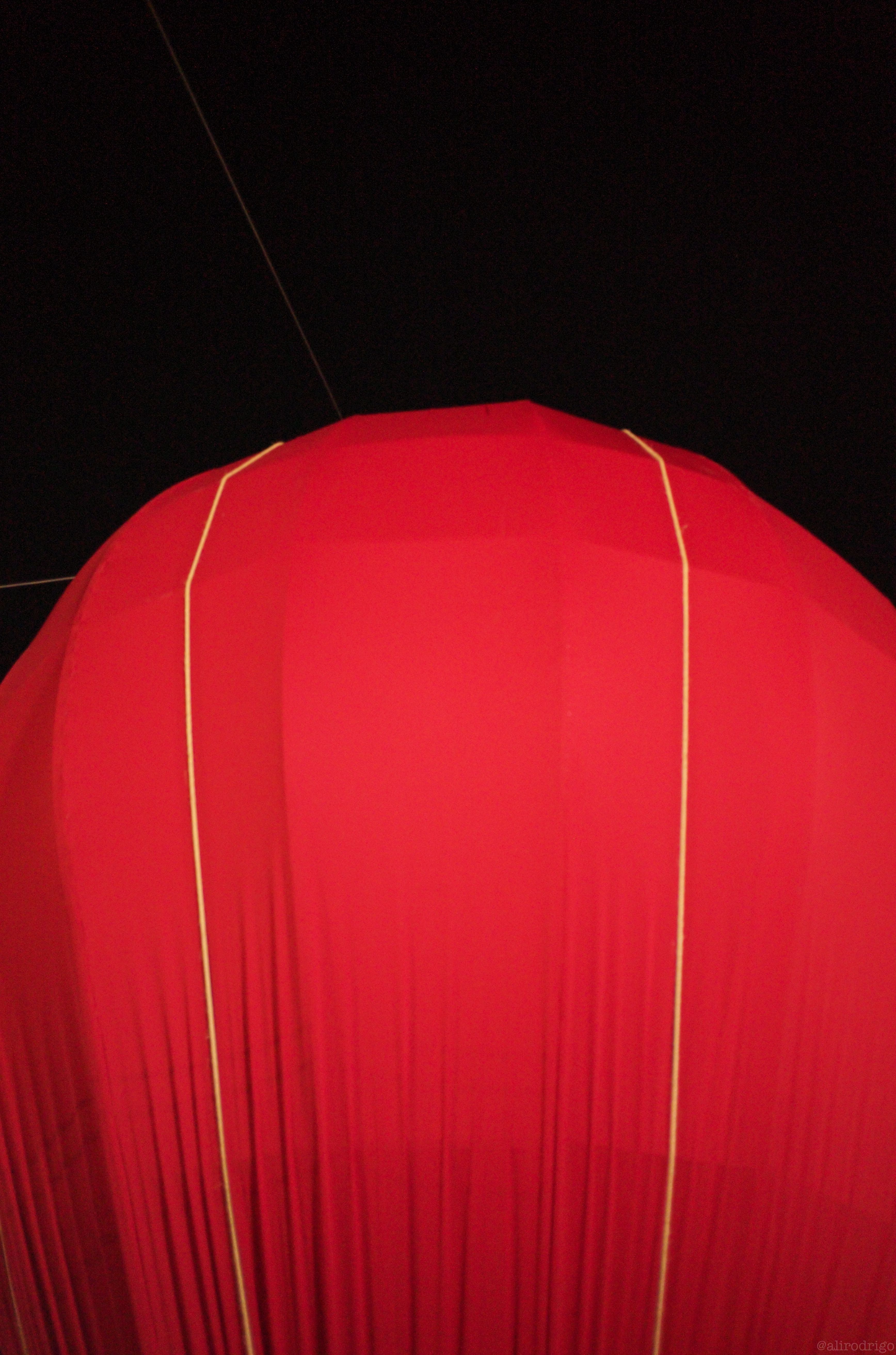 L1001565.jpg