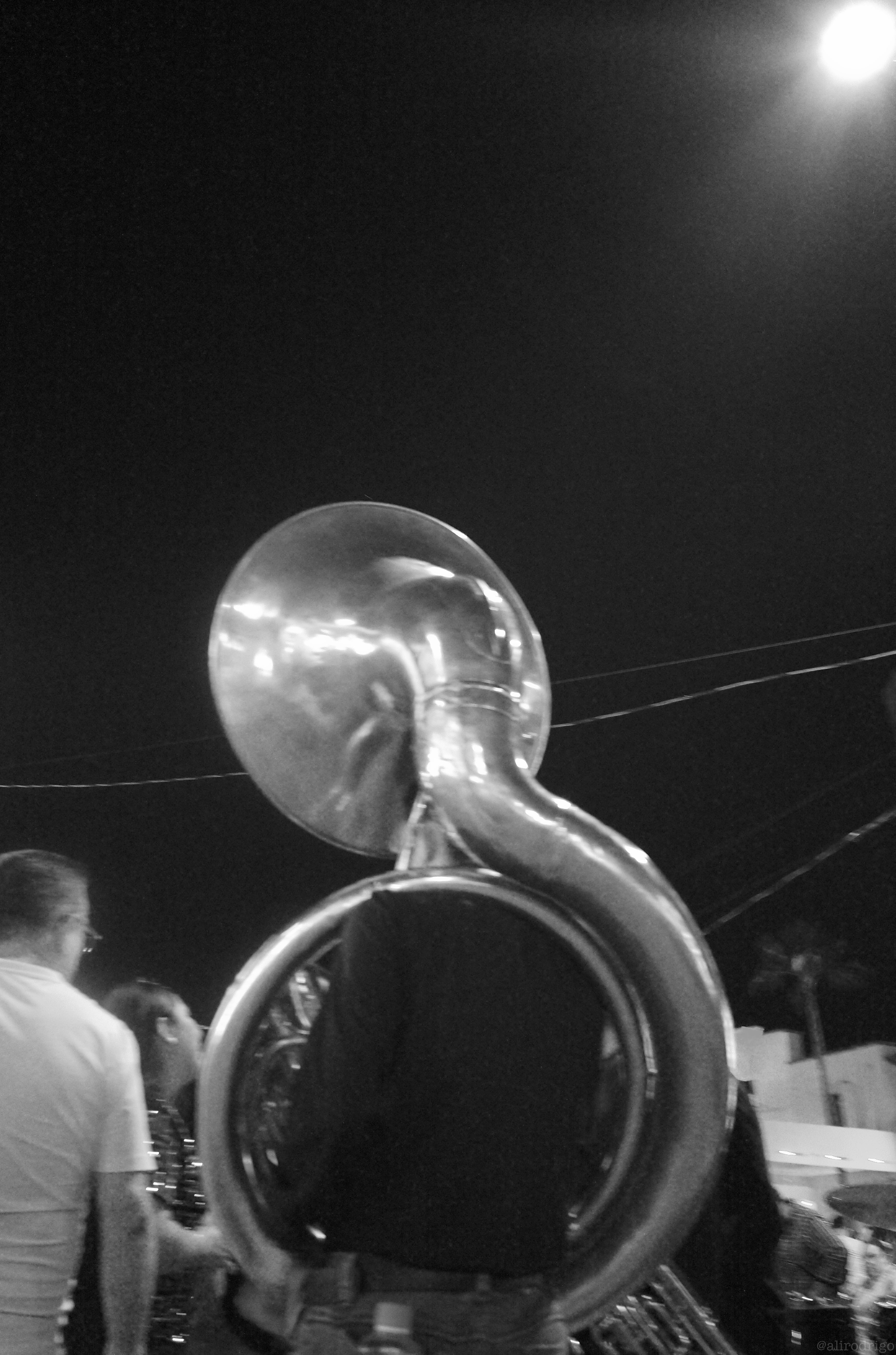 L1002472.jpg