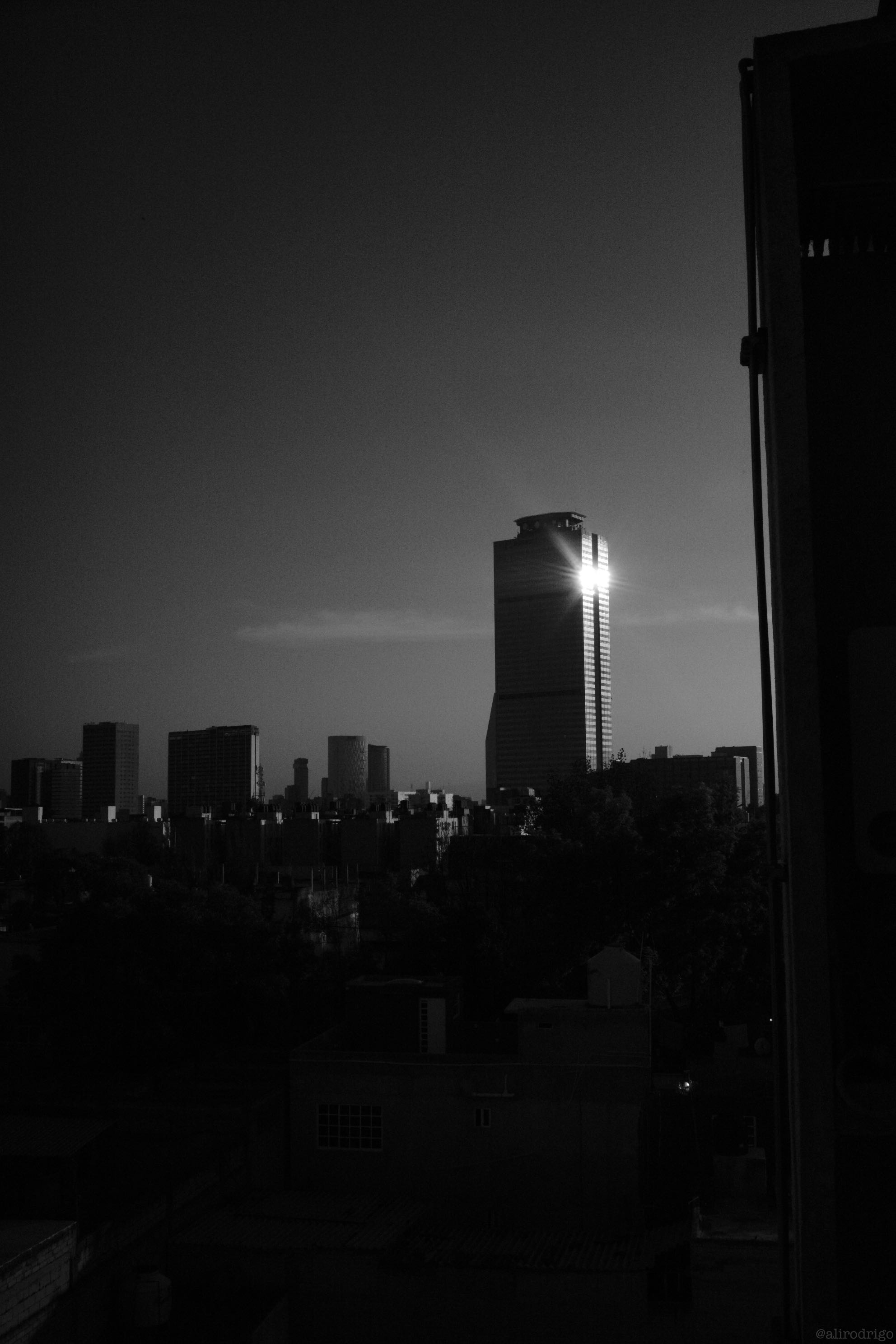 L1002792.jpg