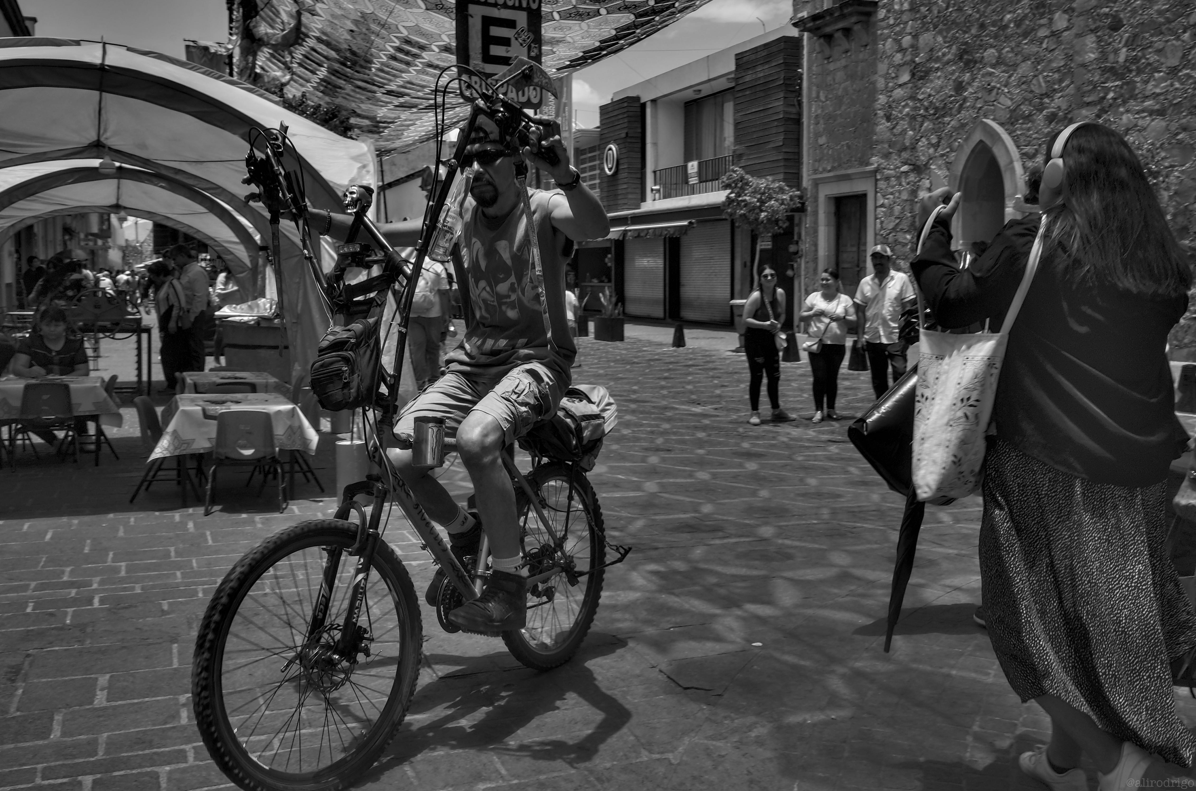 L1002968.jpg