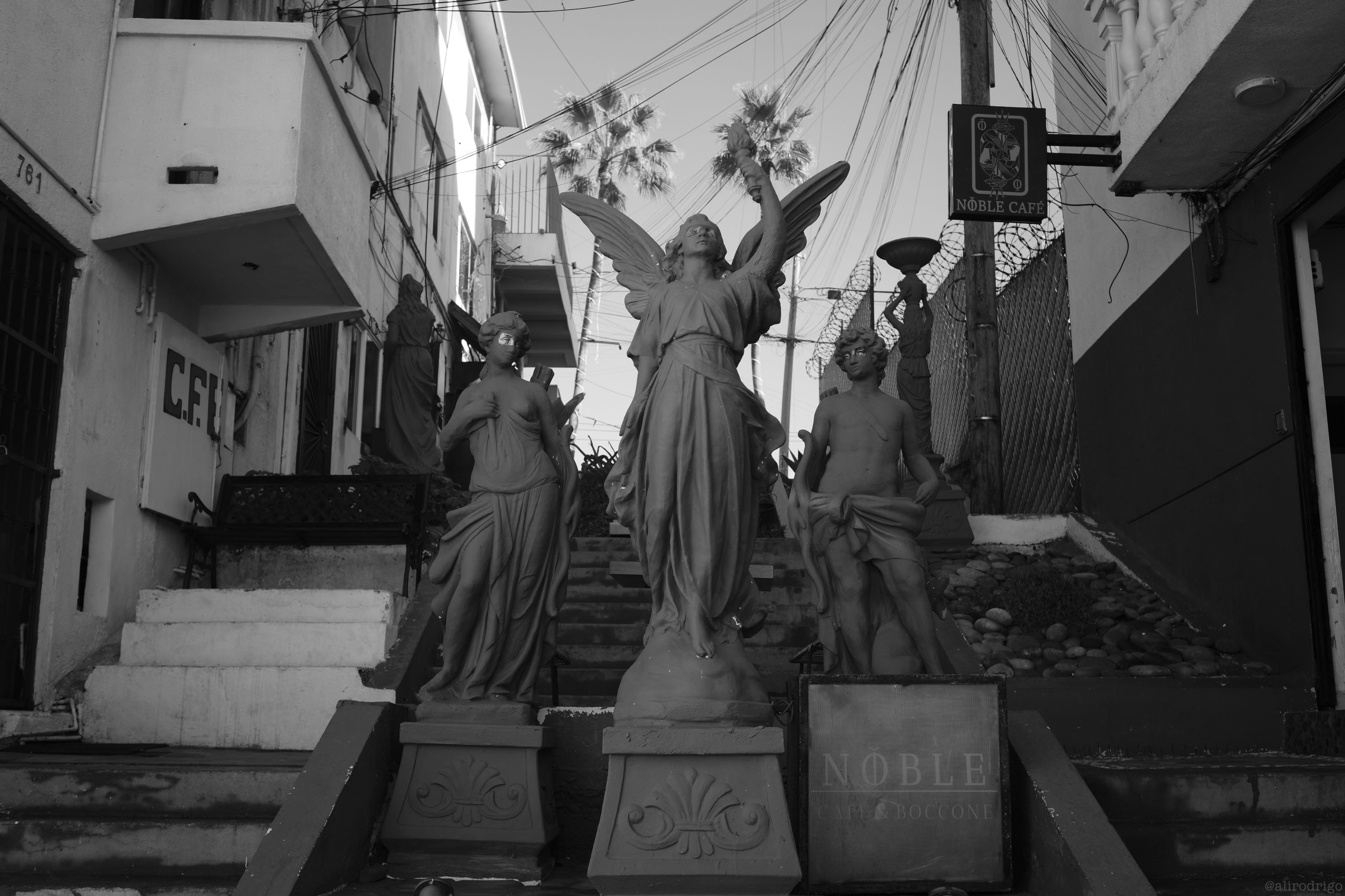 L1002994.jpg