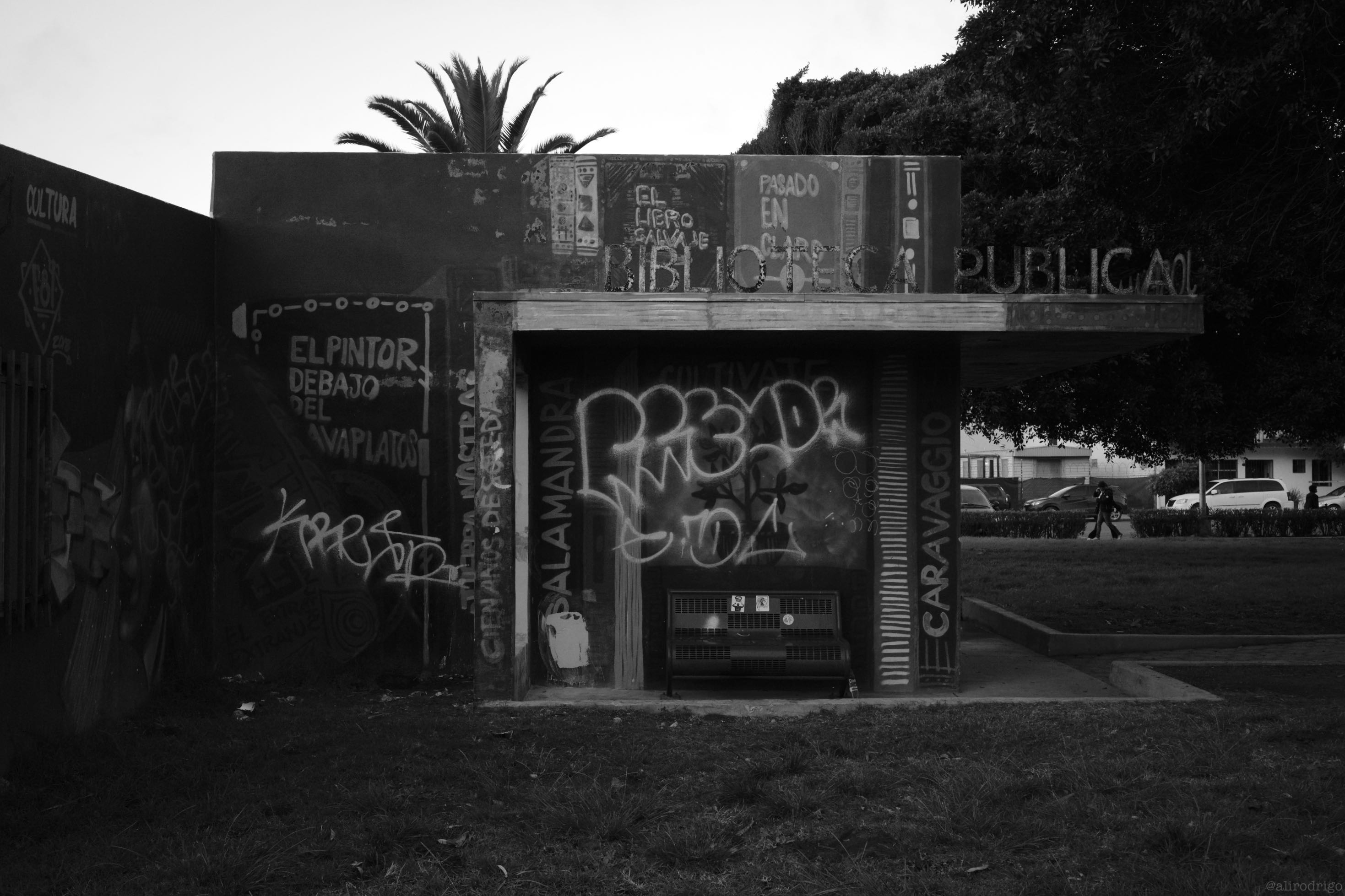 L1003046.jpg