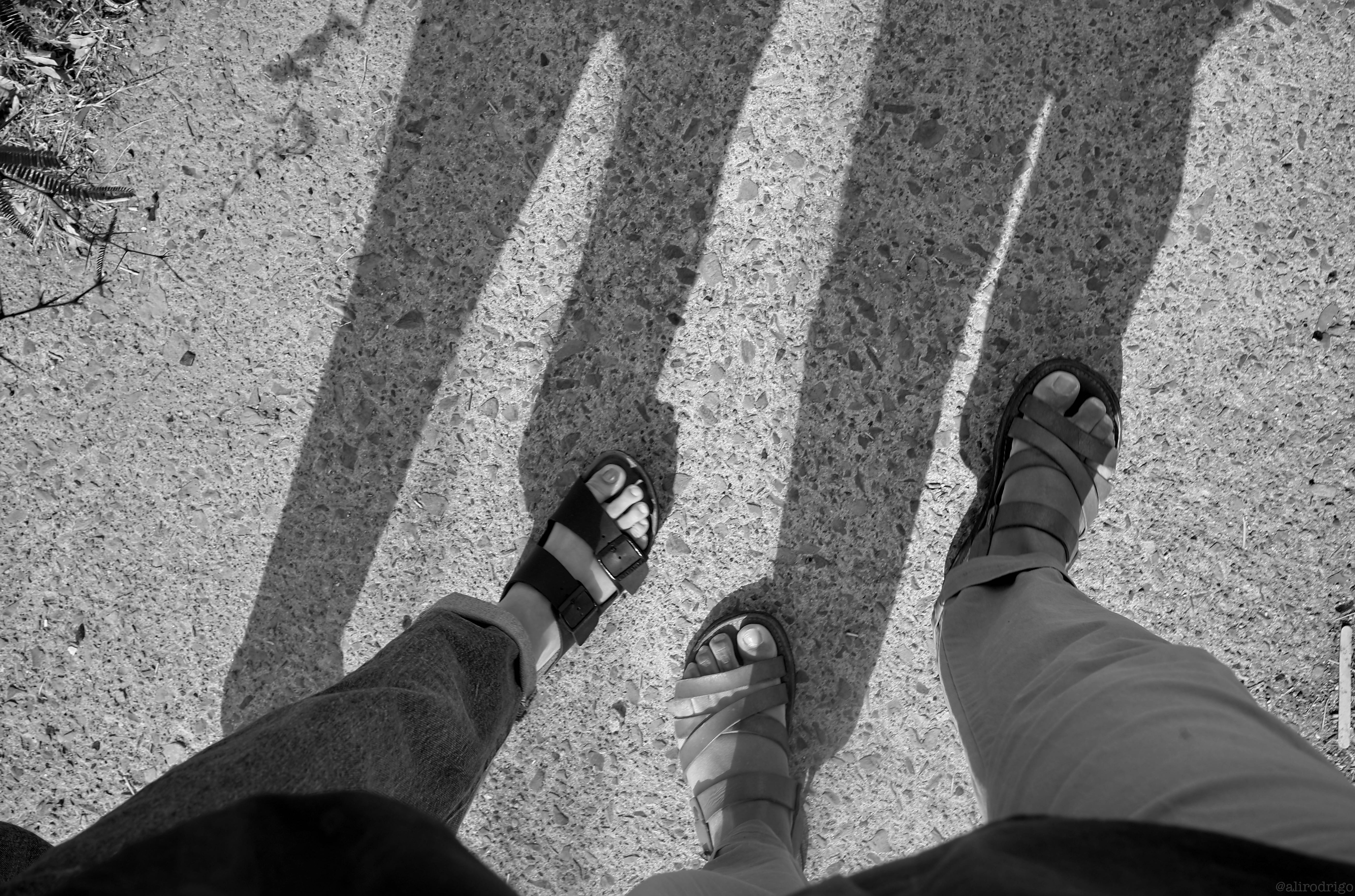 L1003125.jpg