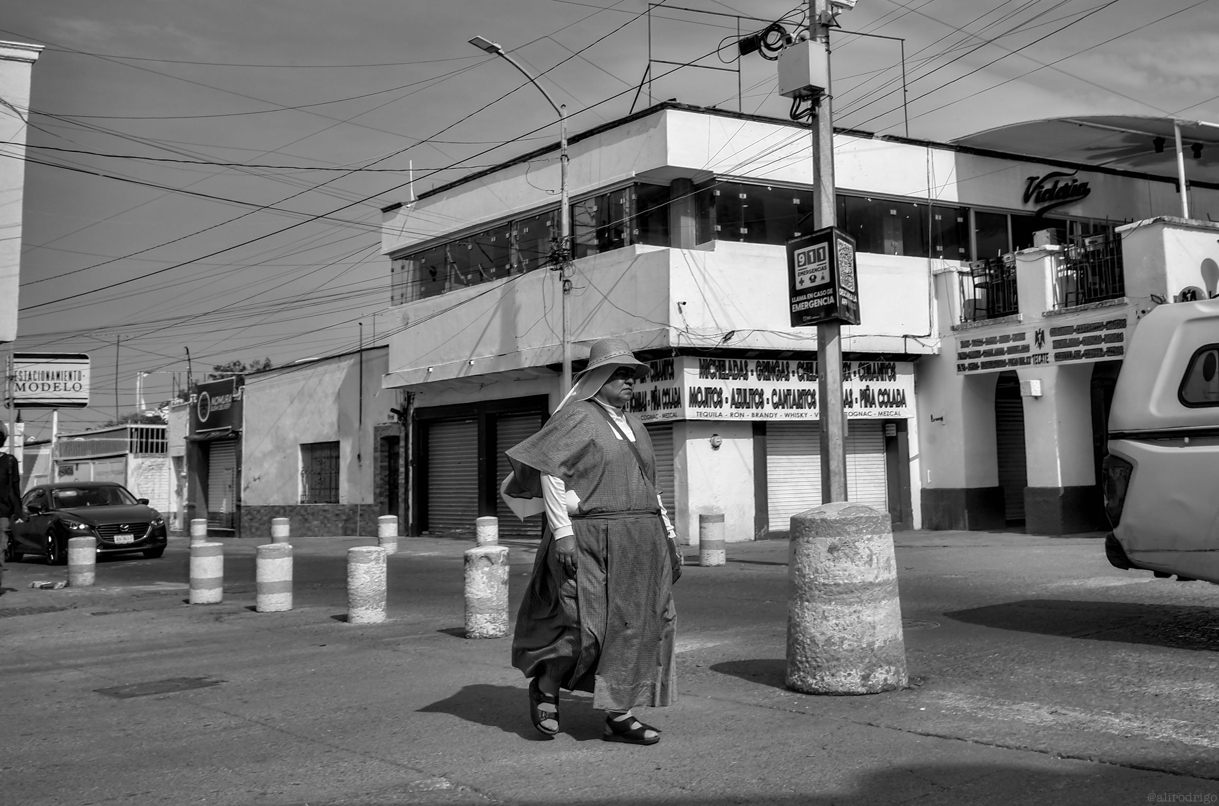 L1003140.jpg