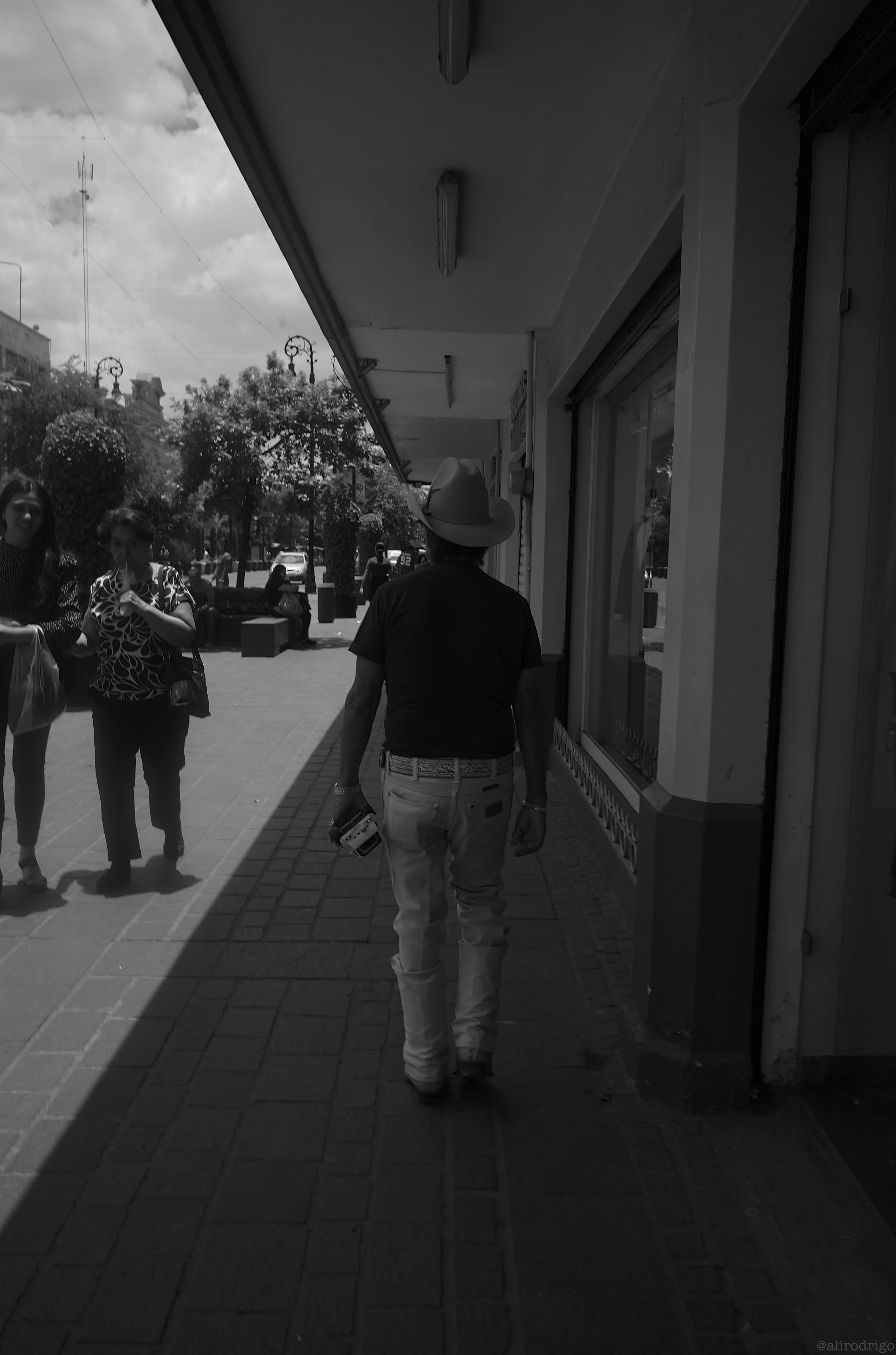 L1003171.jpg