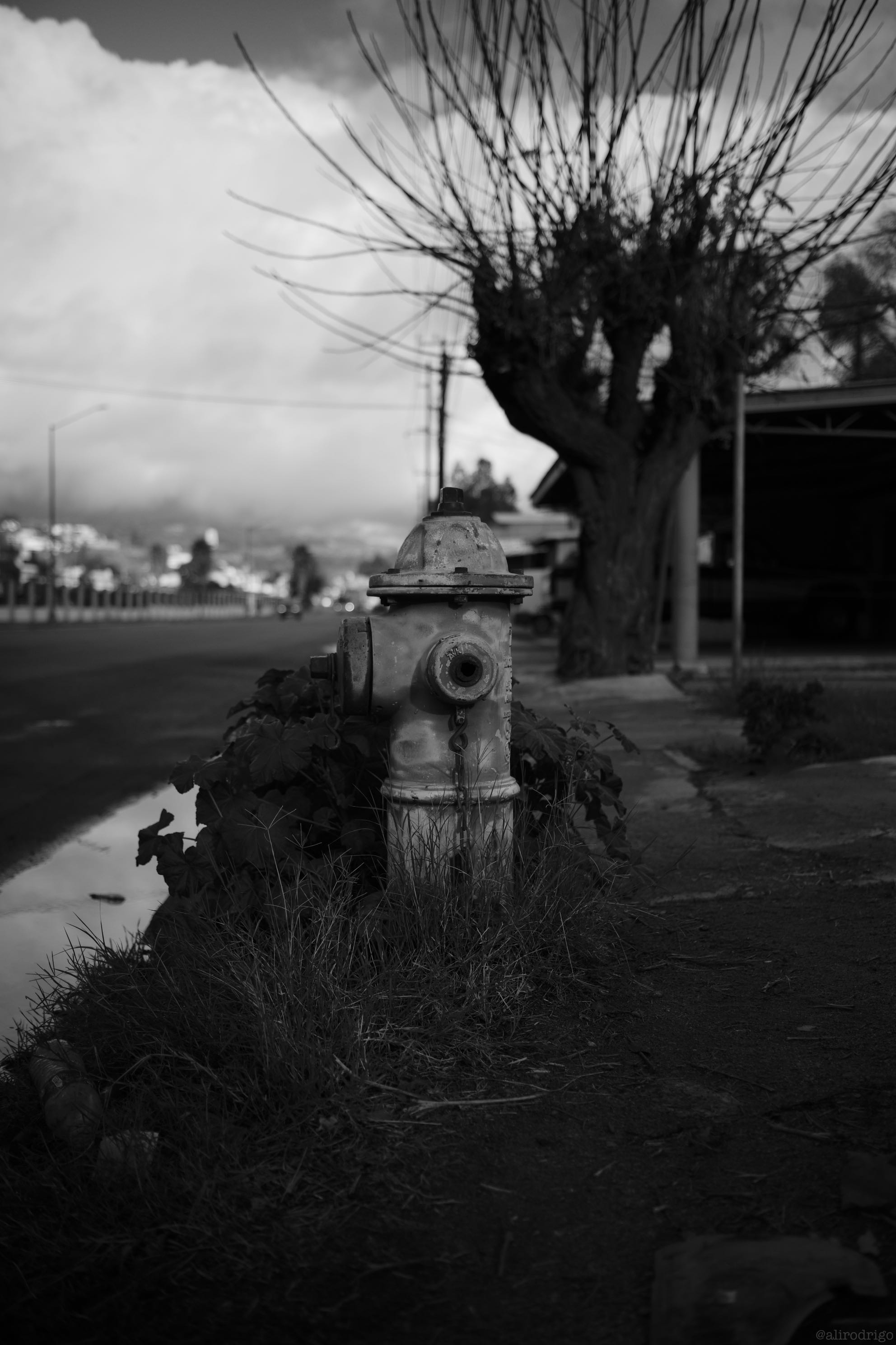 L1003210.jpg