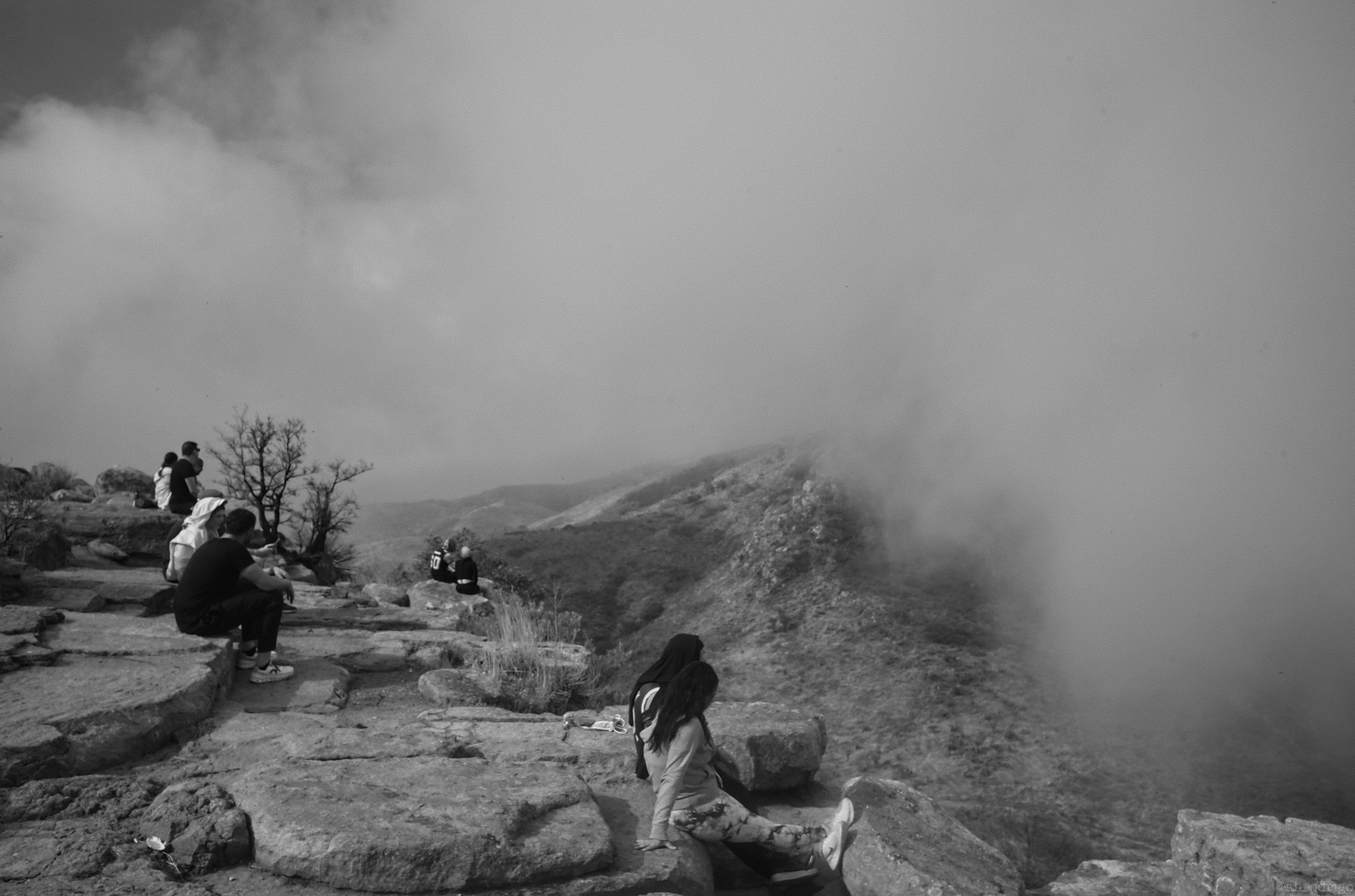 L1003232.jpg