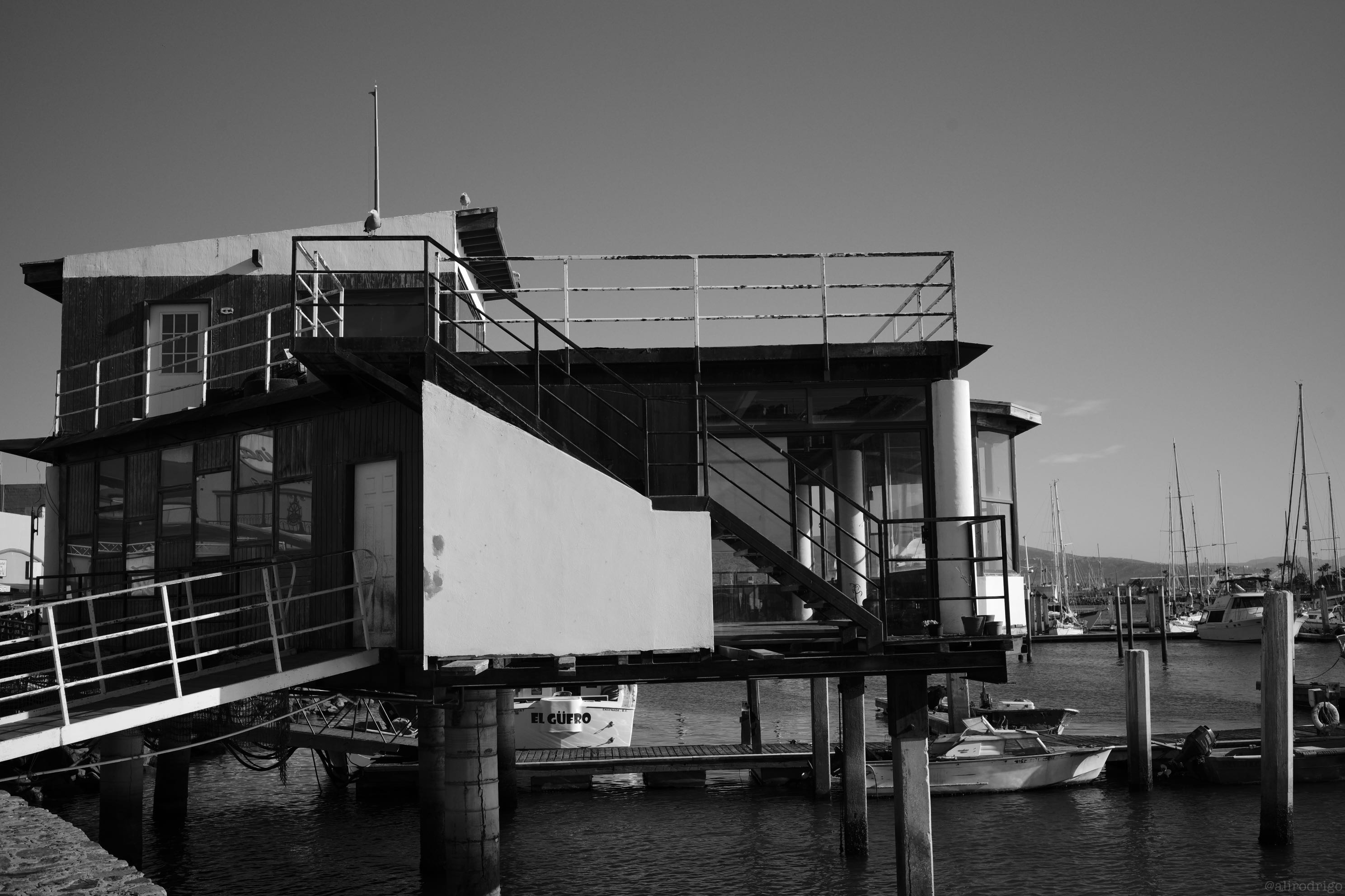 L1003250.jpg