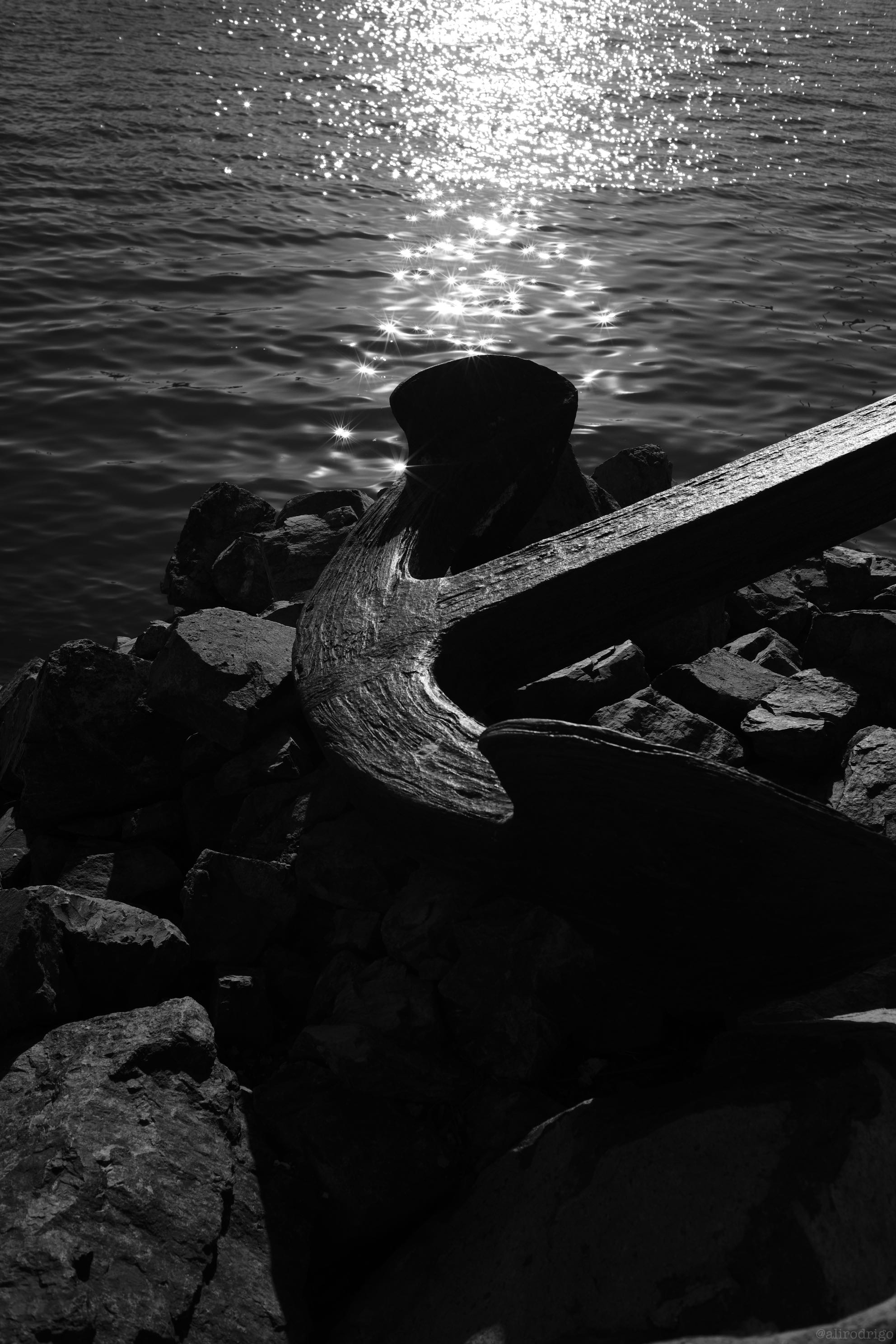 L1003274.jpg