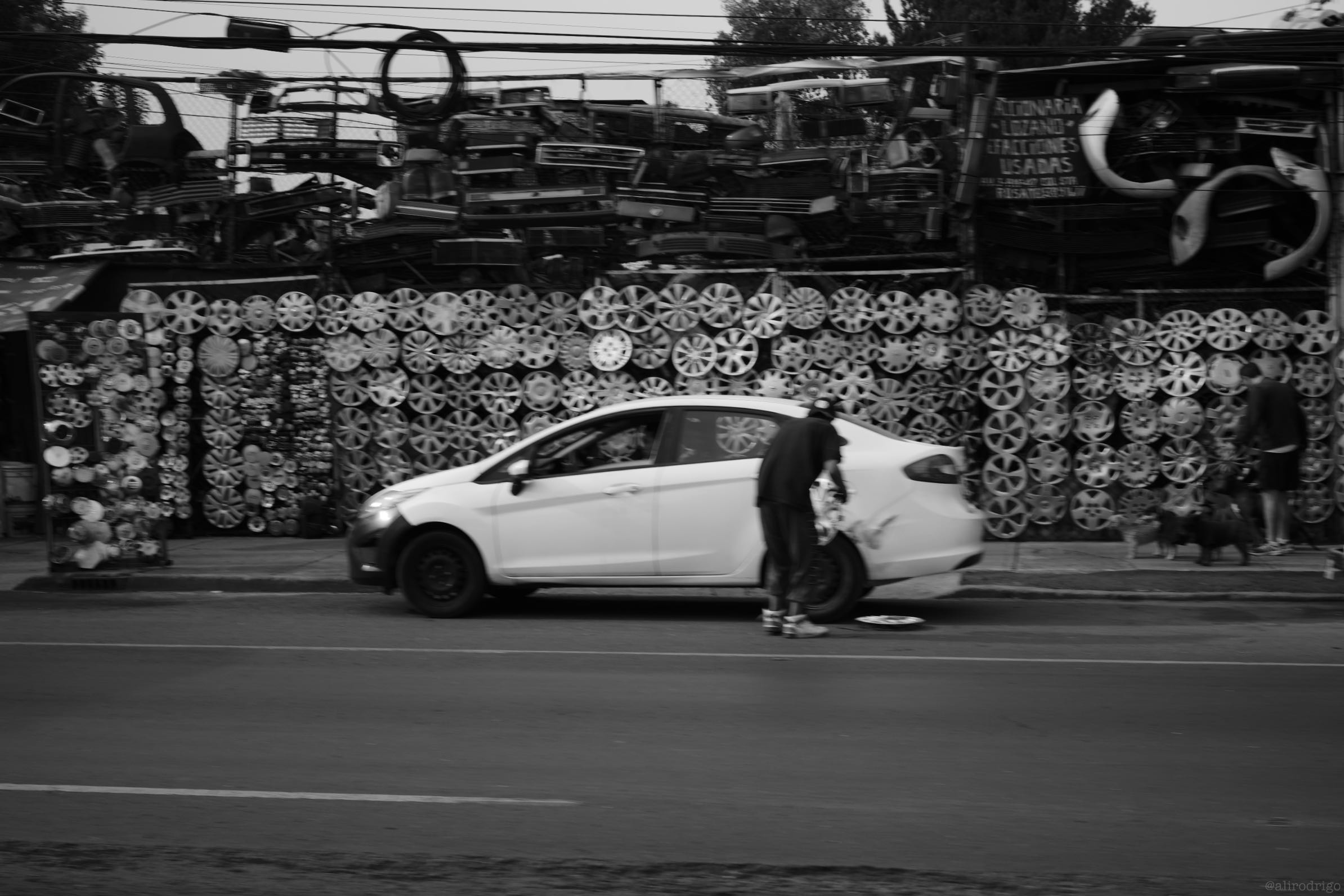 L1003663.jpg