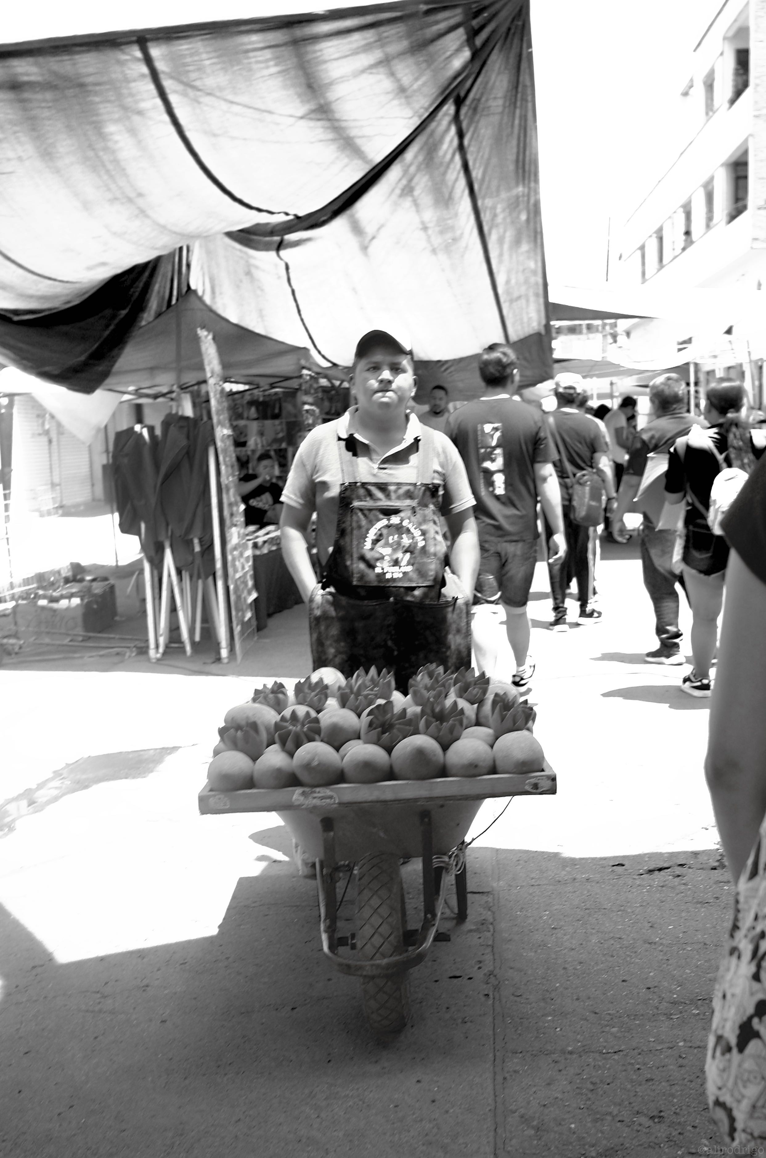 L1003699.jpg