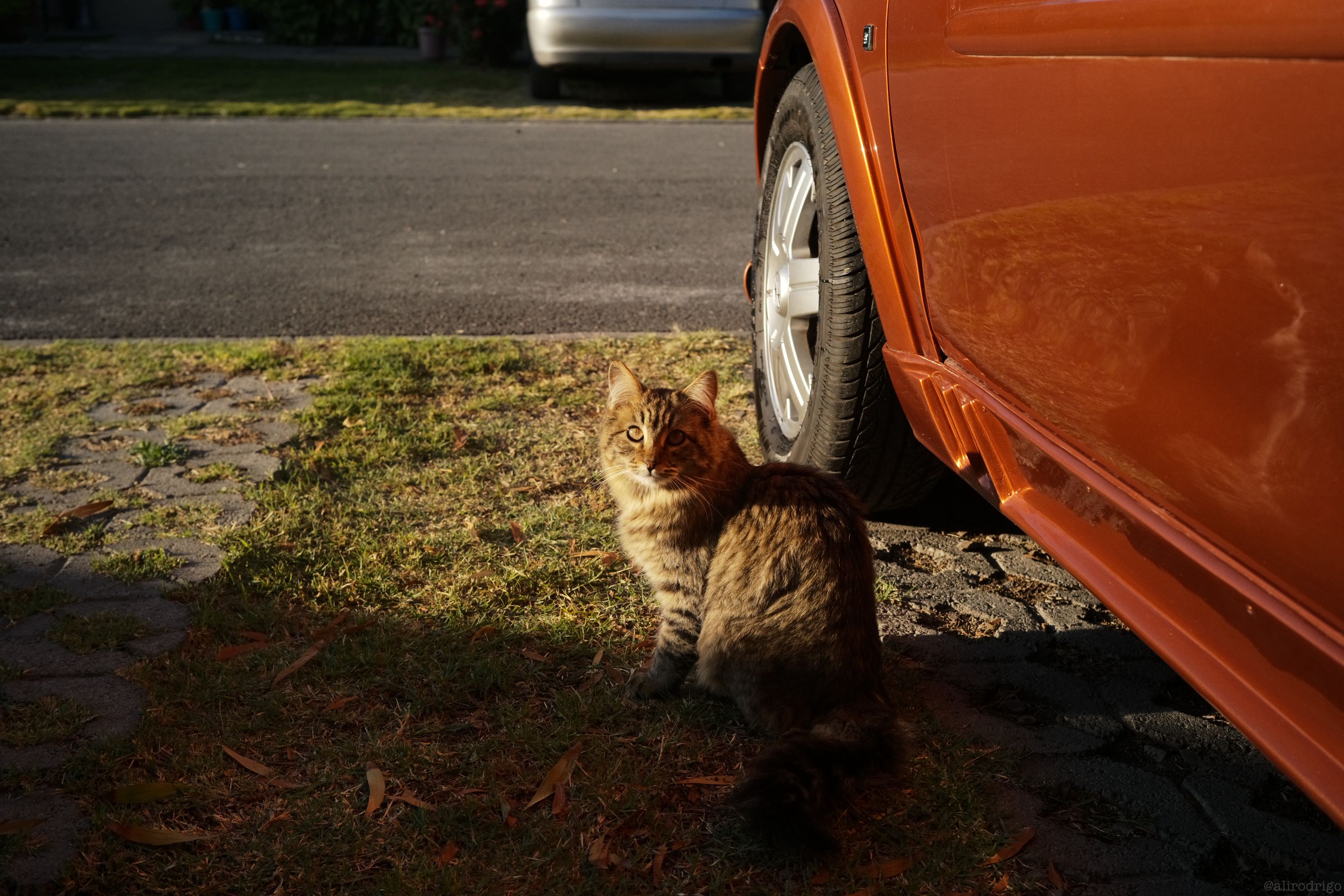 L1003740.jpg