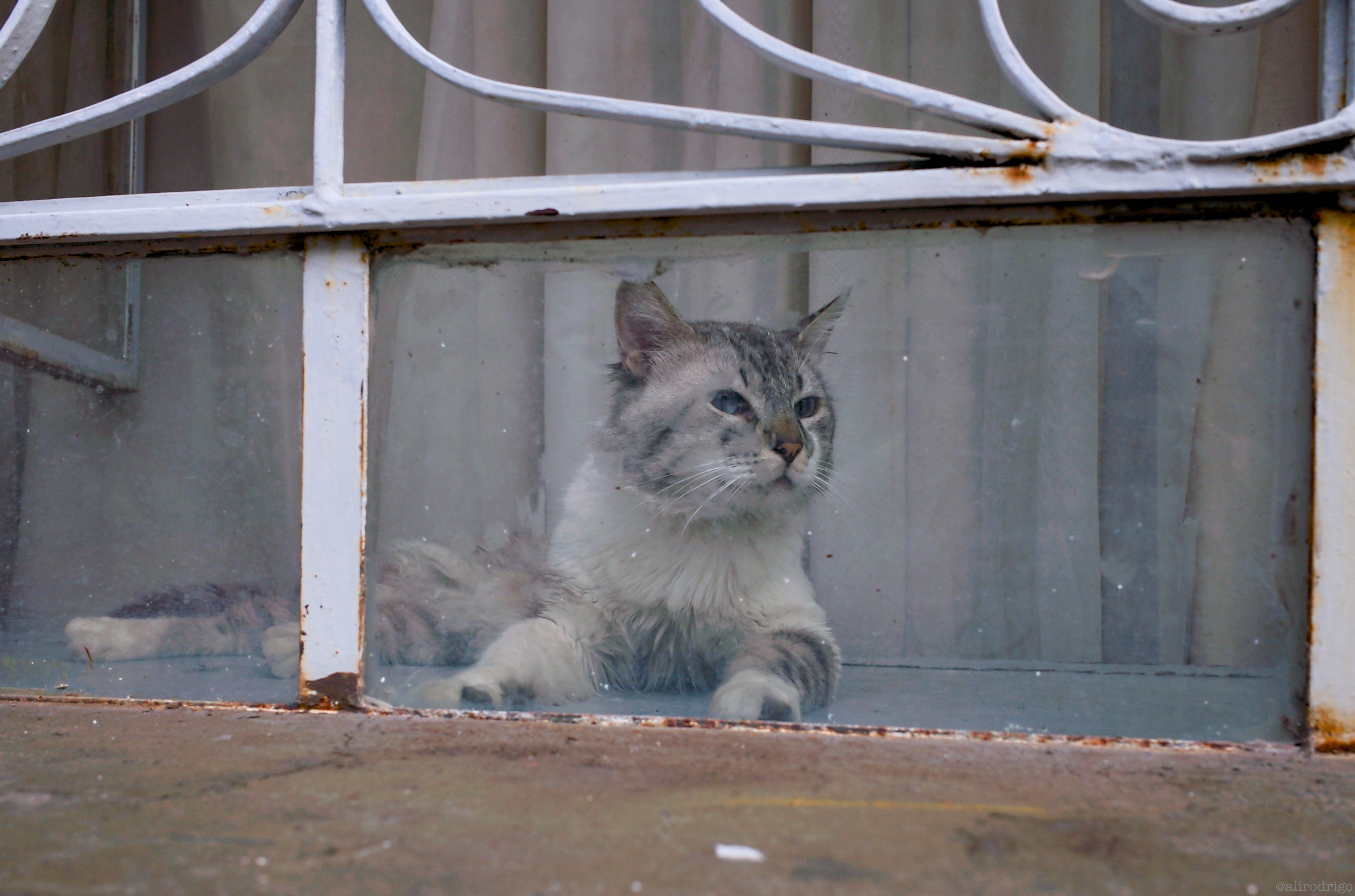 L1003900.jpg