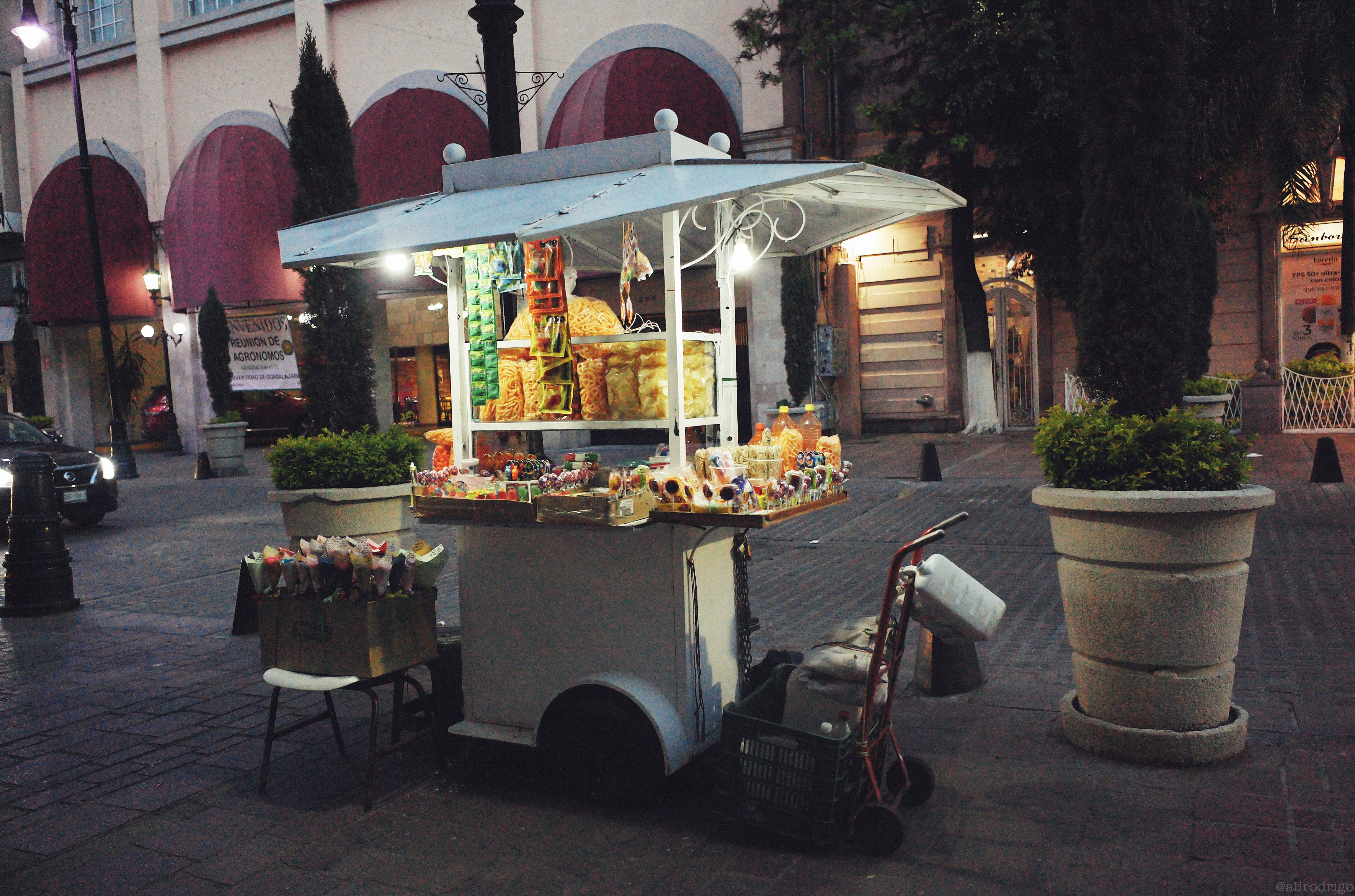 L1004001.jpg