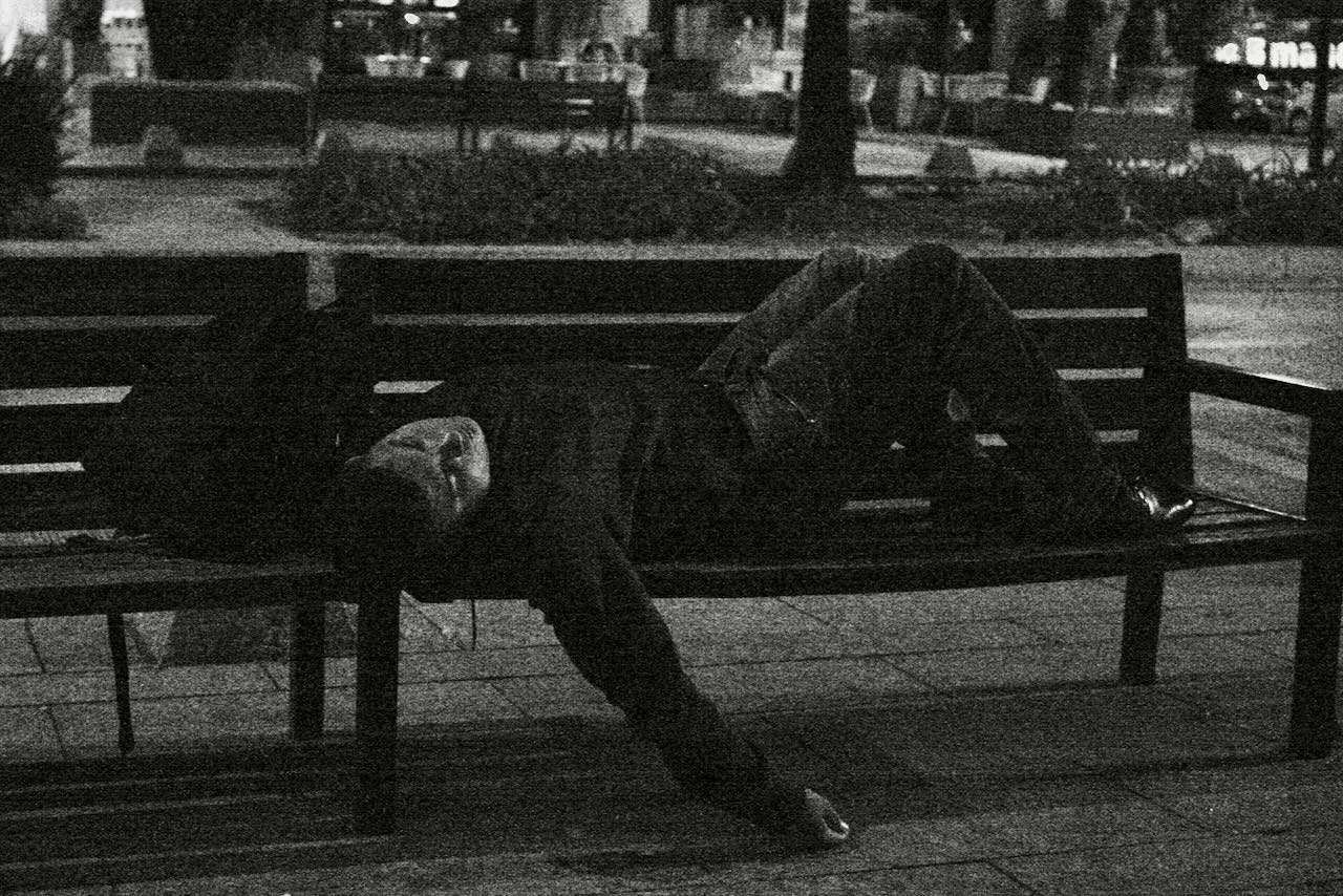 L1004033.jpeg