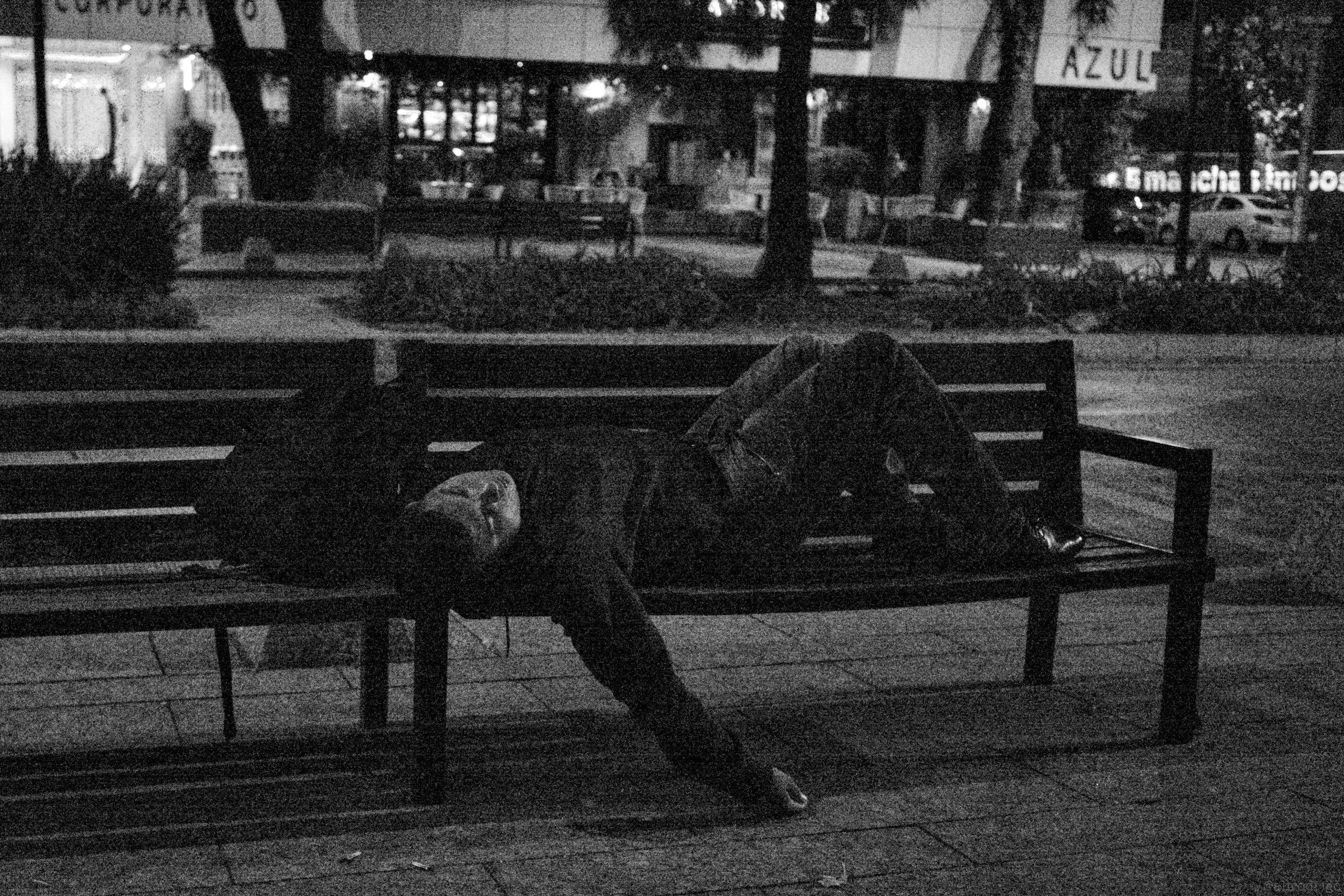 L1004033.jpg
