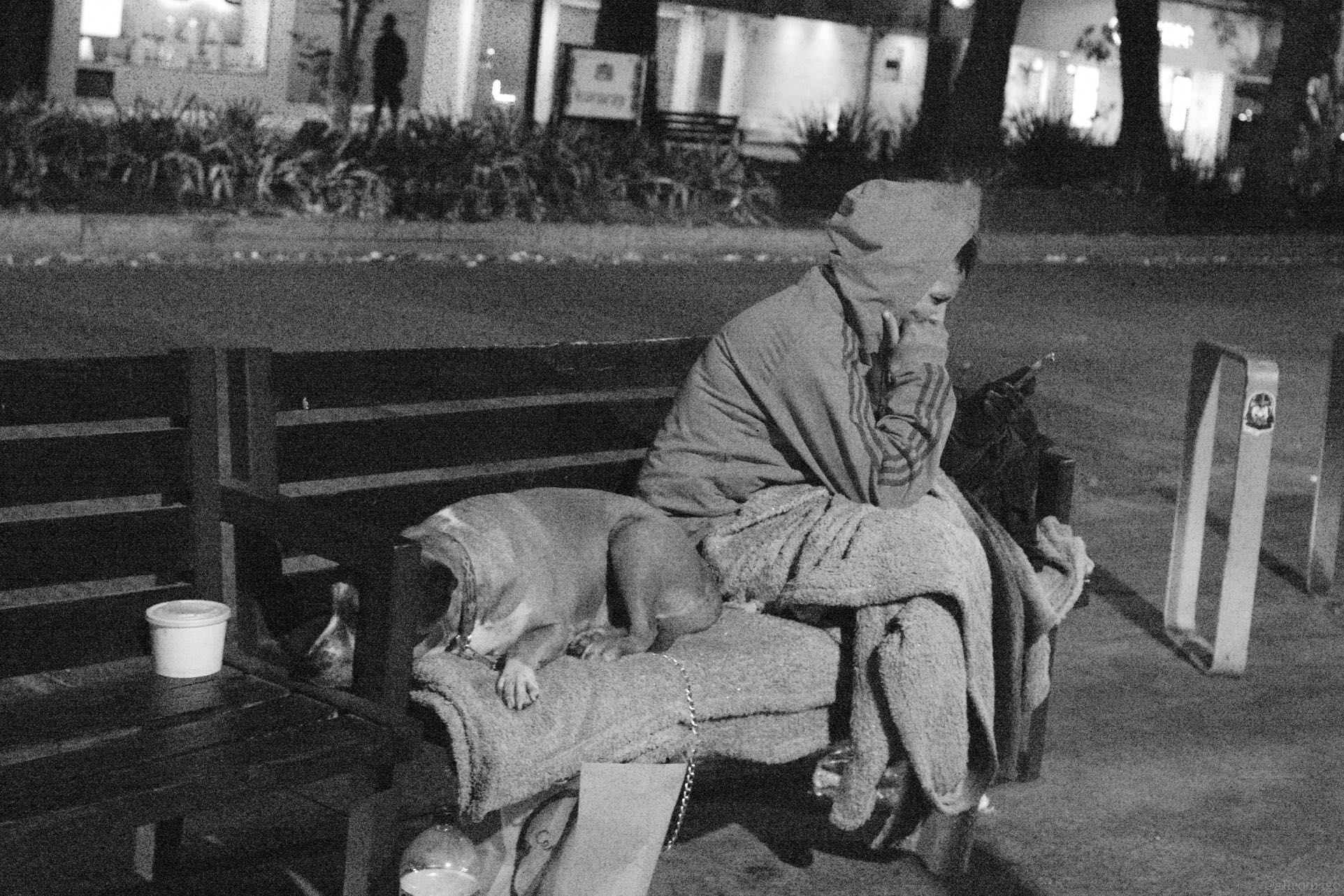 L1004037.jpg