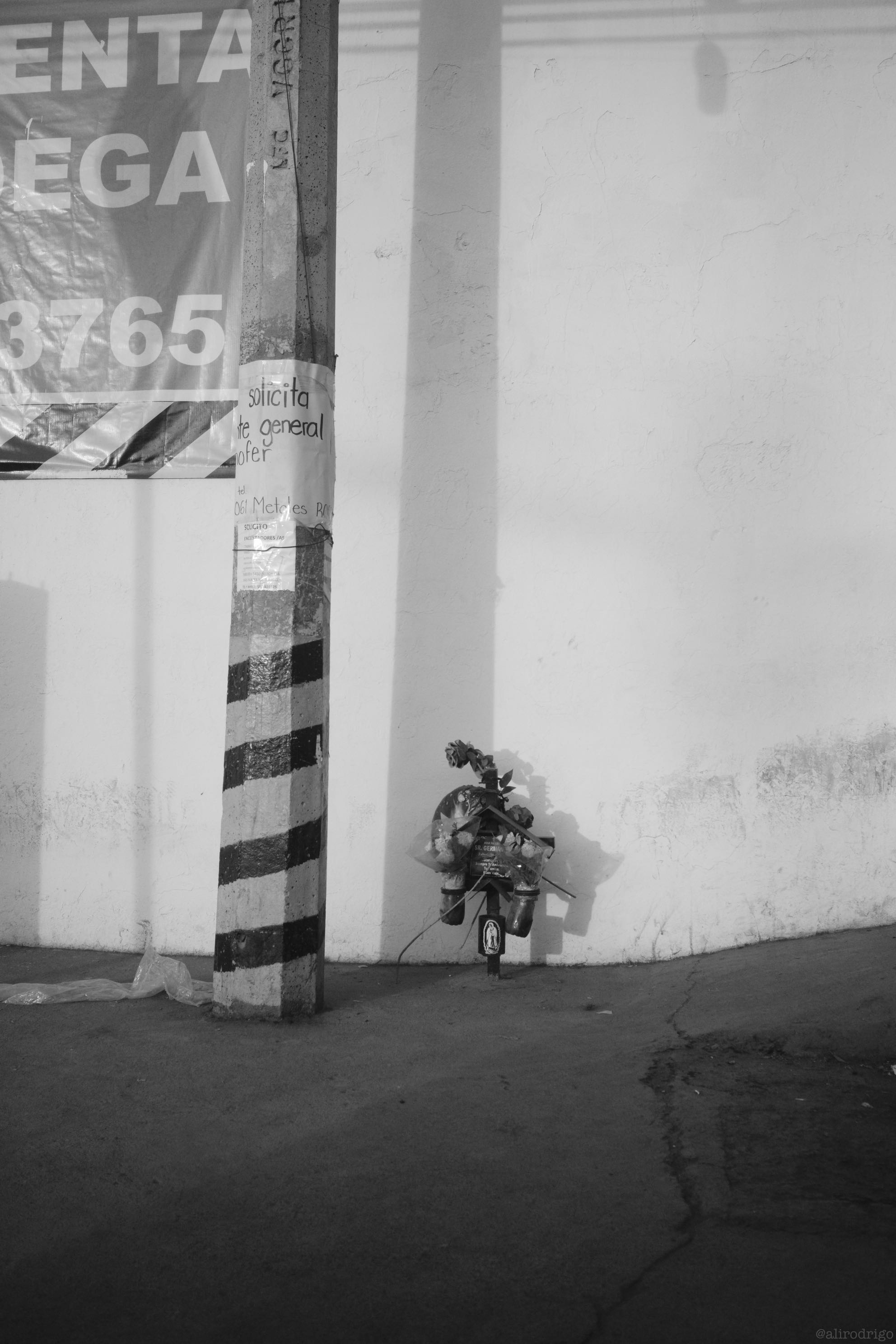 L1004167.jpg