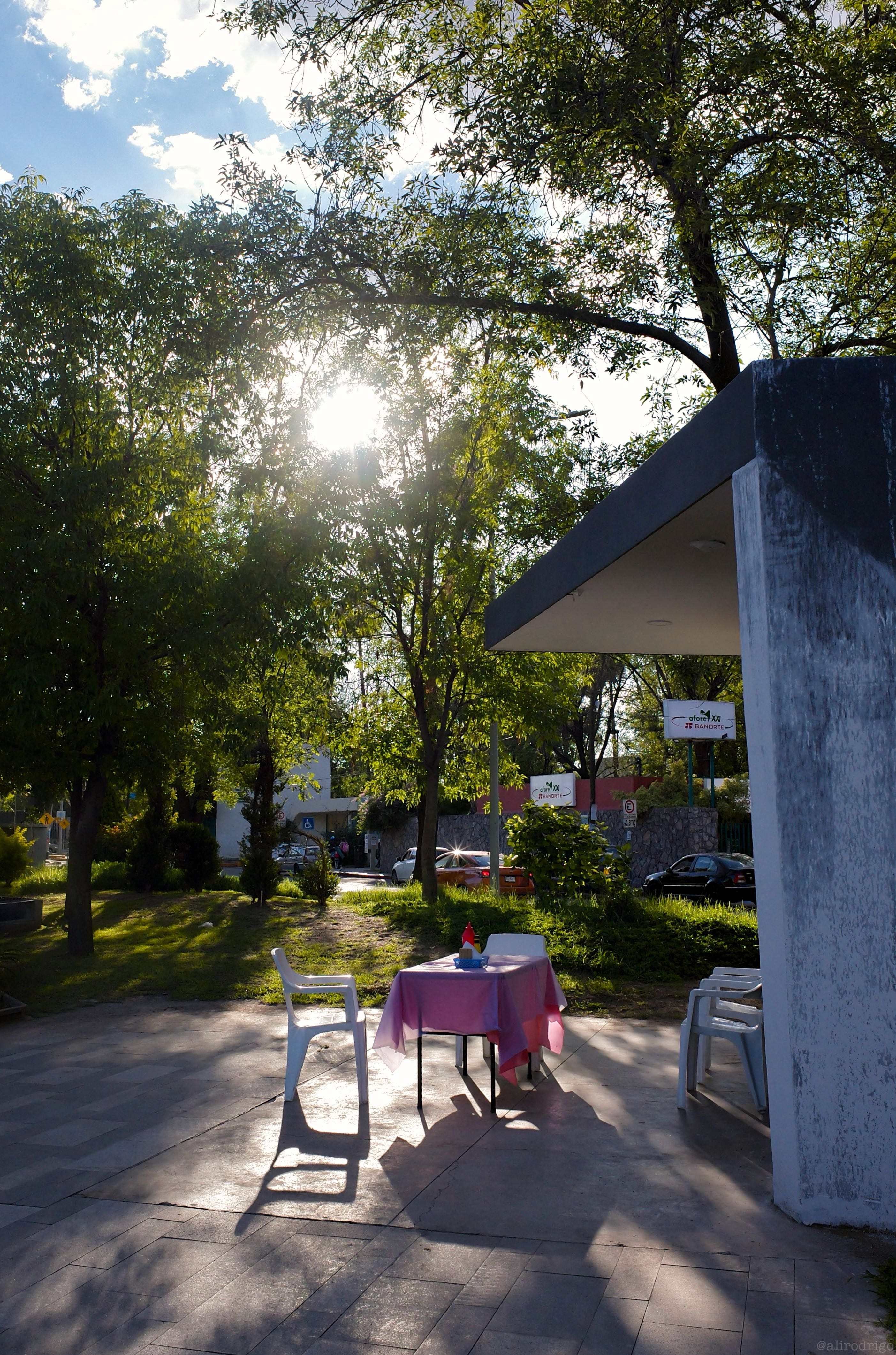 L1004186.jpg