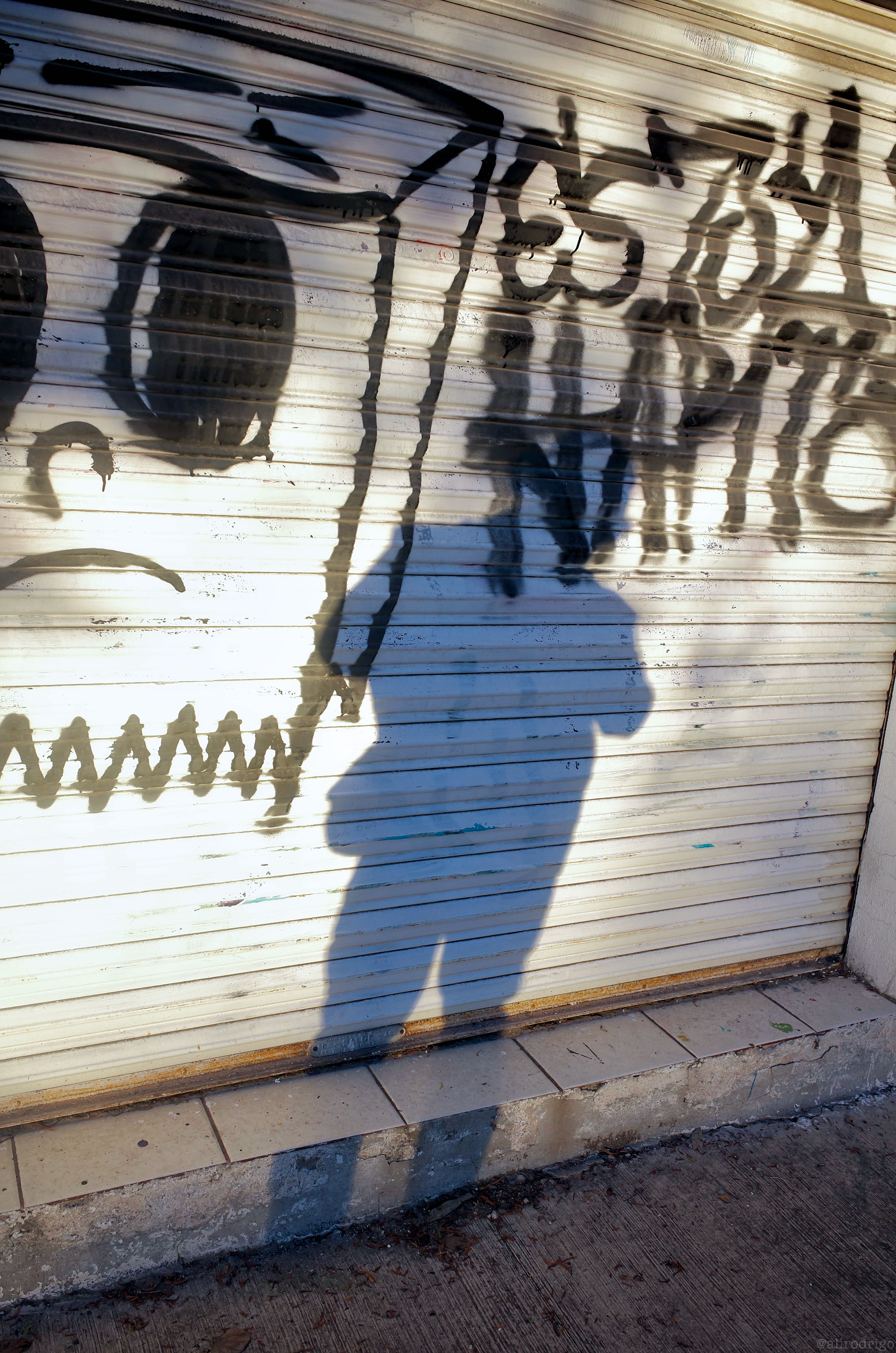 L1004295.jpg
