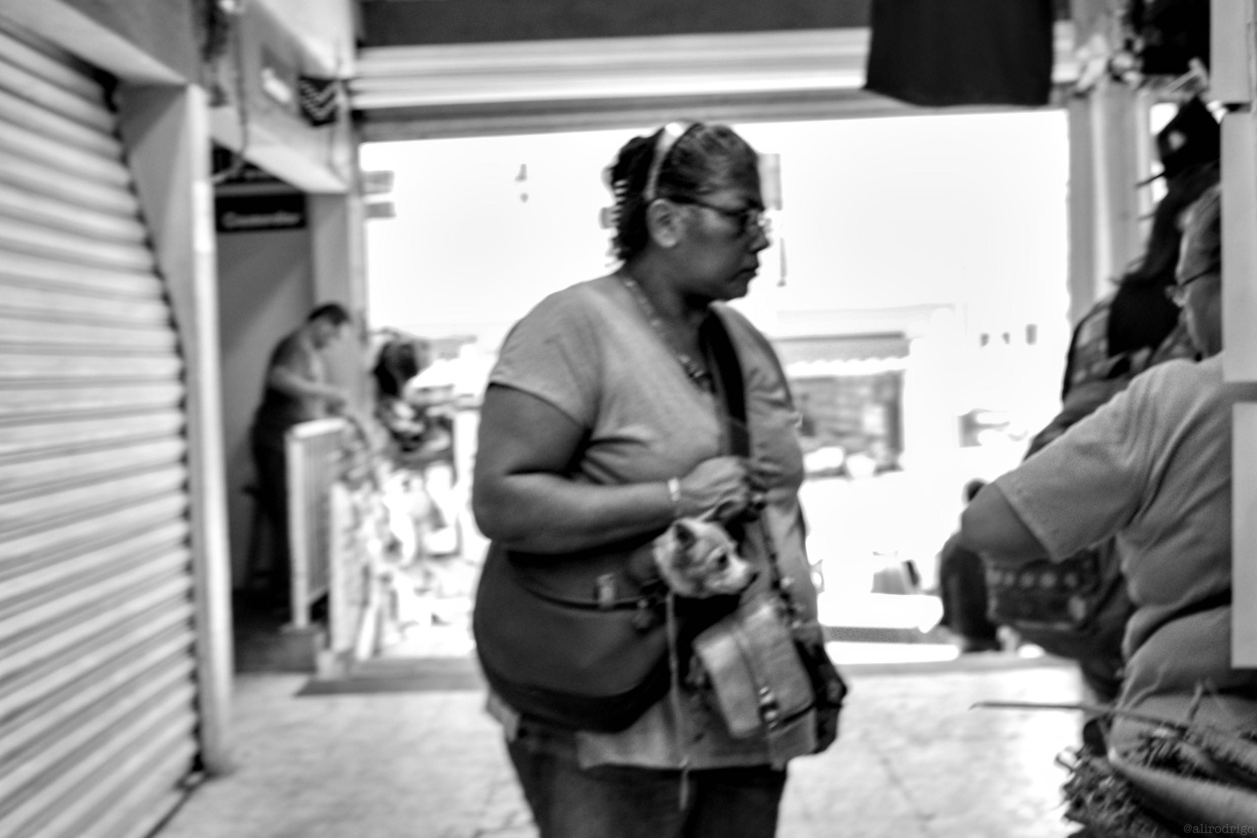 L1004421.jpg