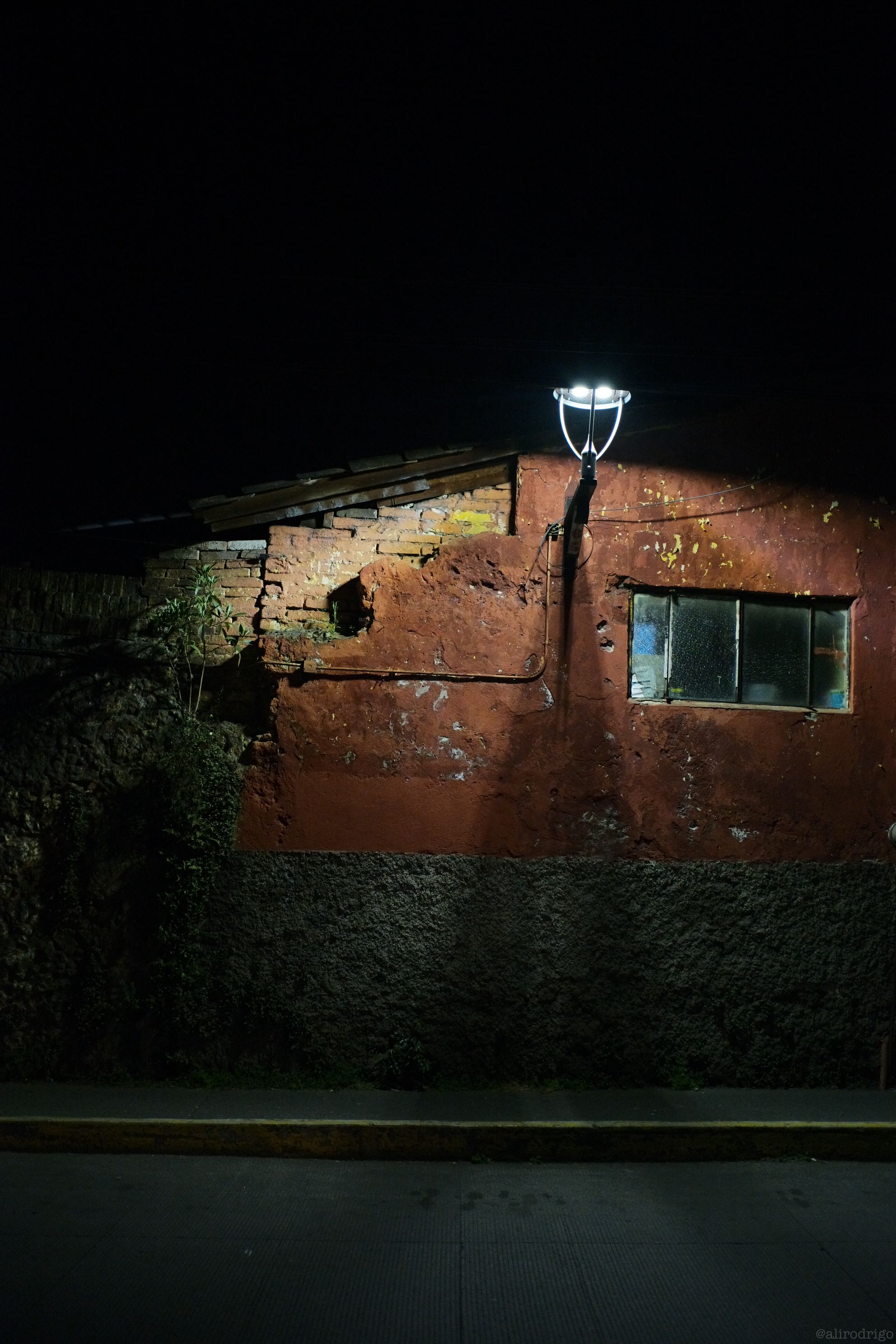 L1004493.jpg