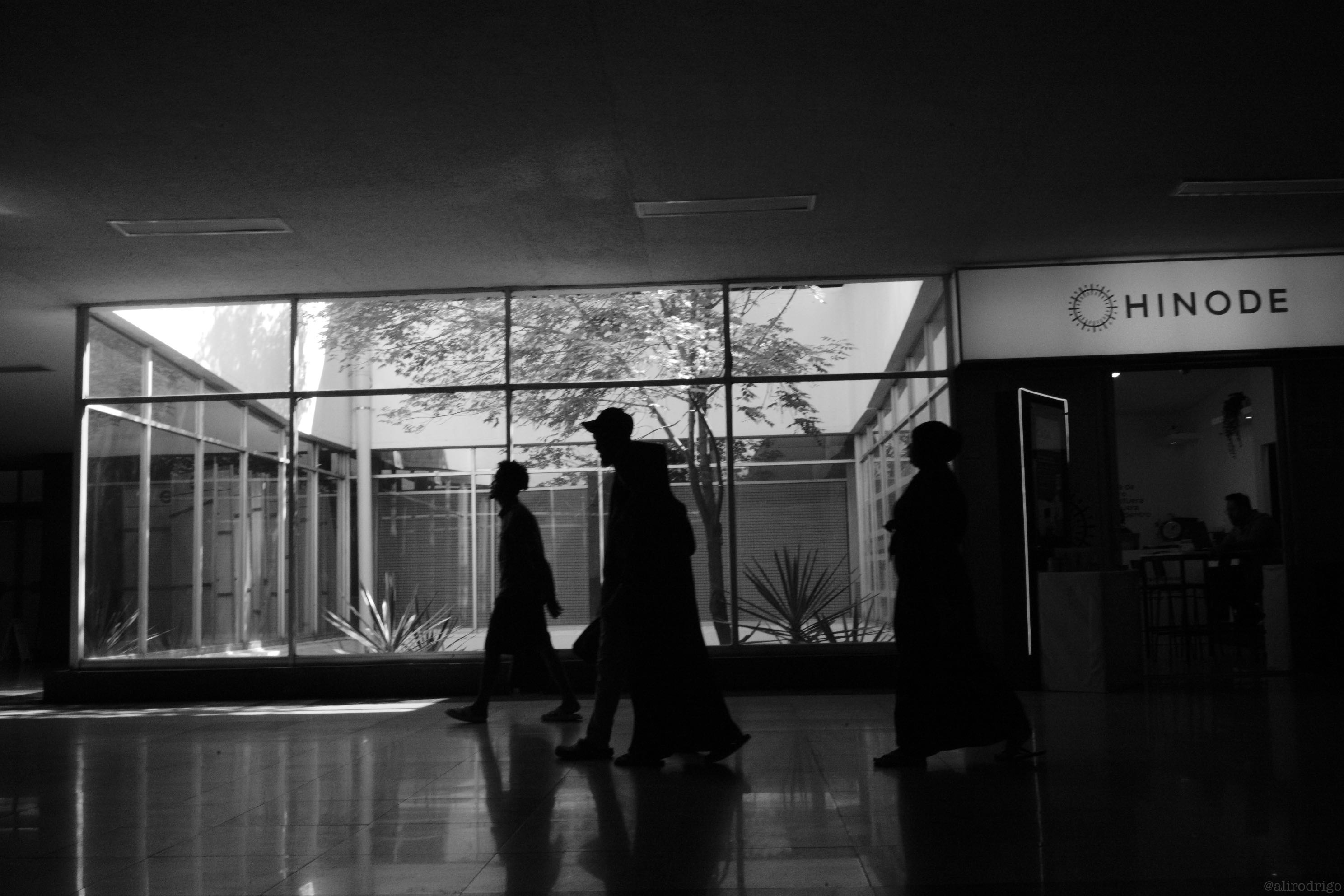 L1004607.jpg