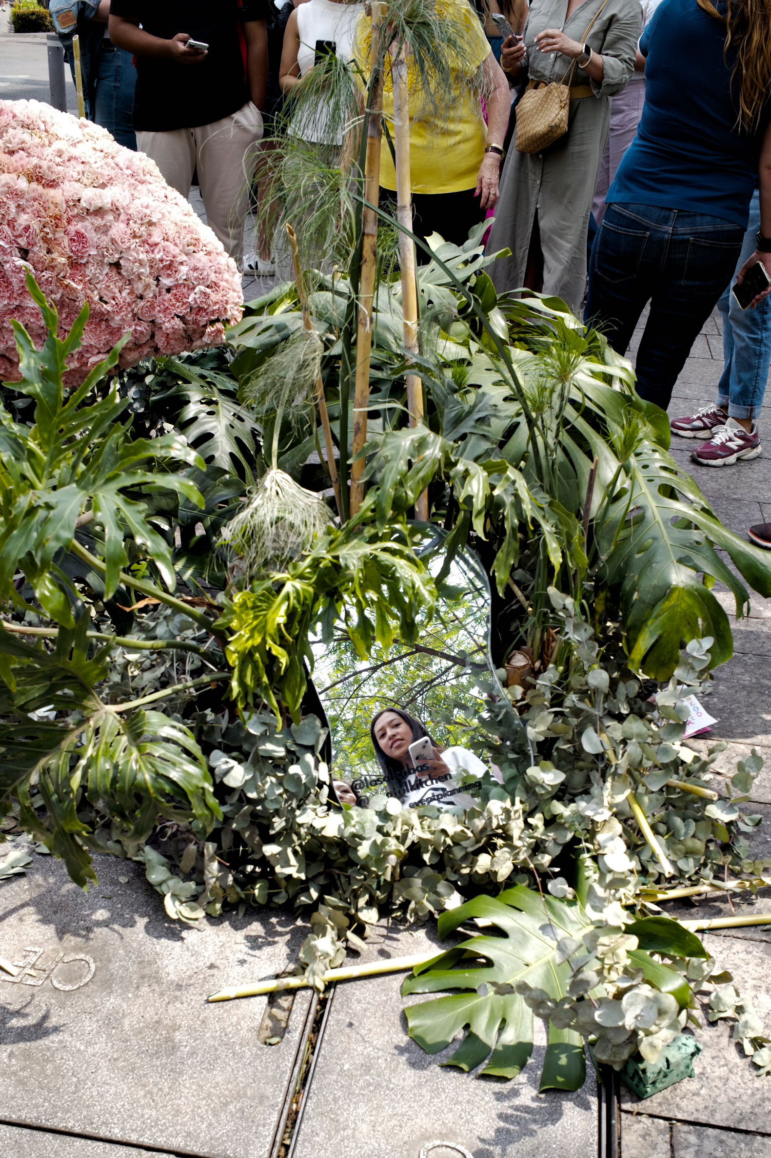 L1005366.jpg