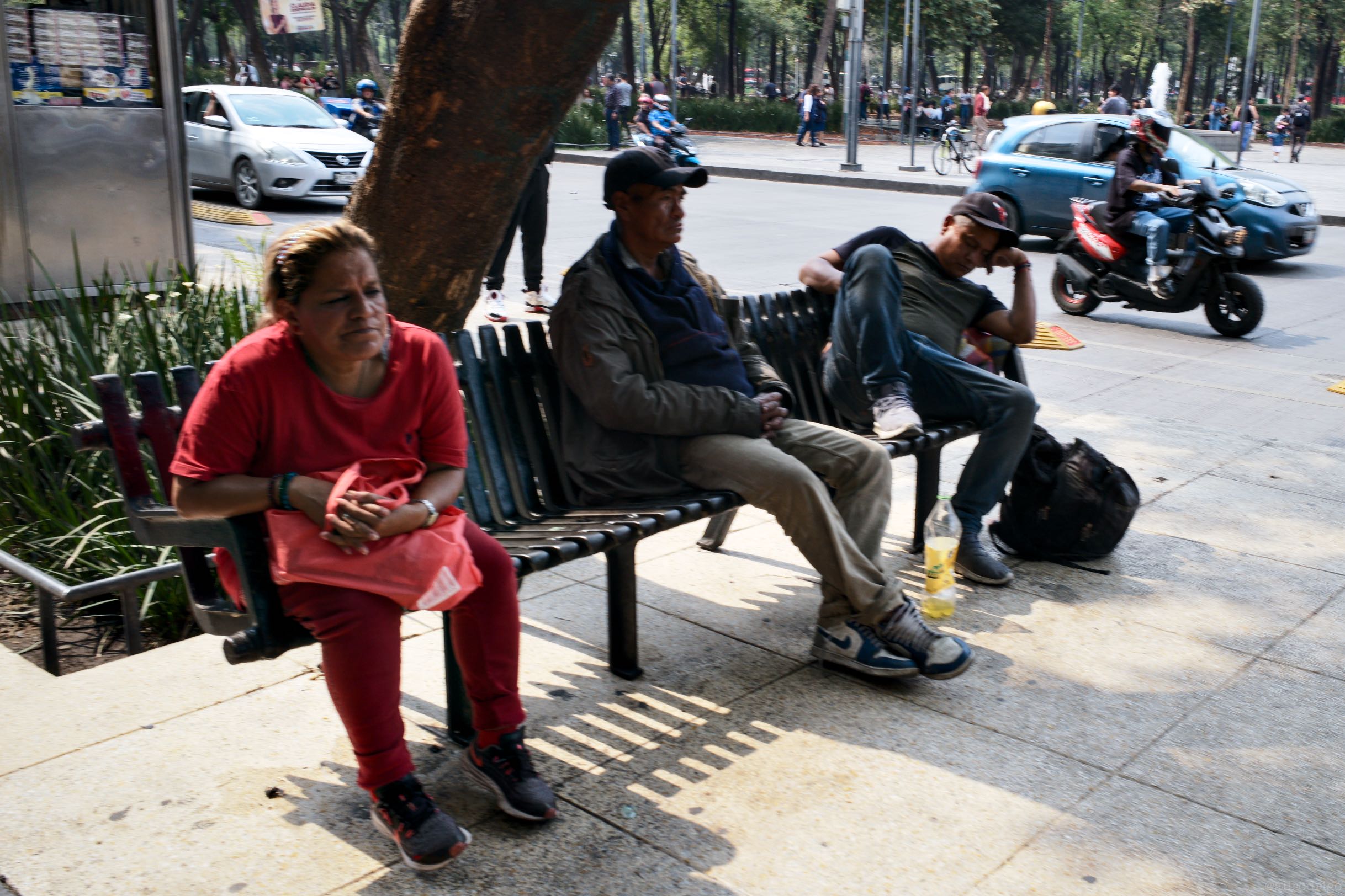 L1005500.jpg