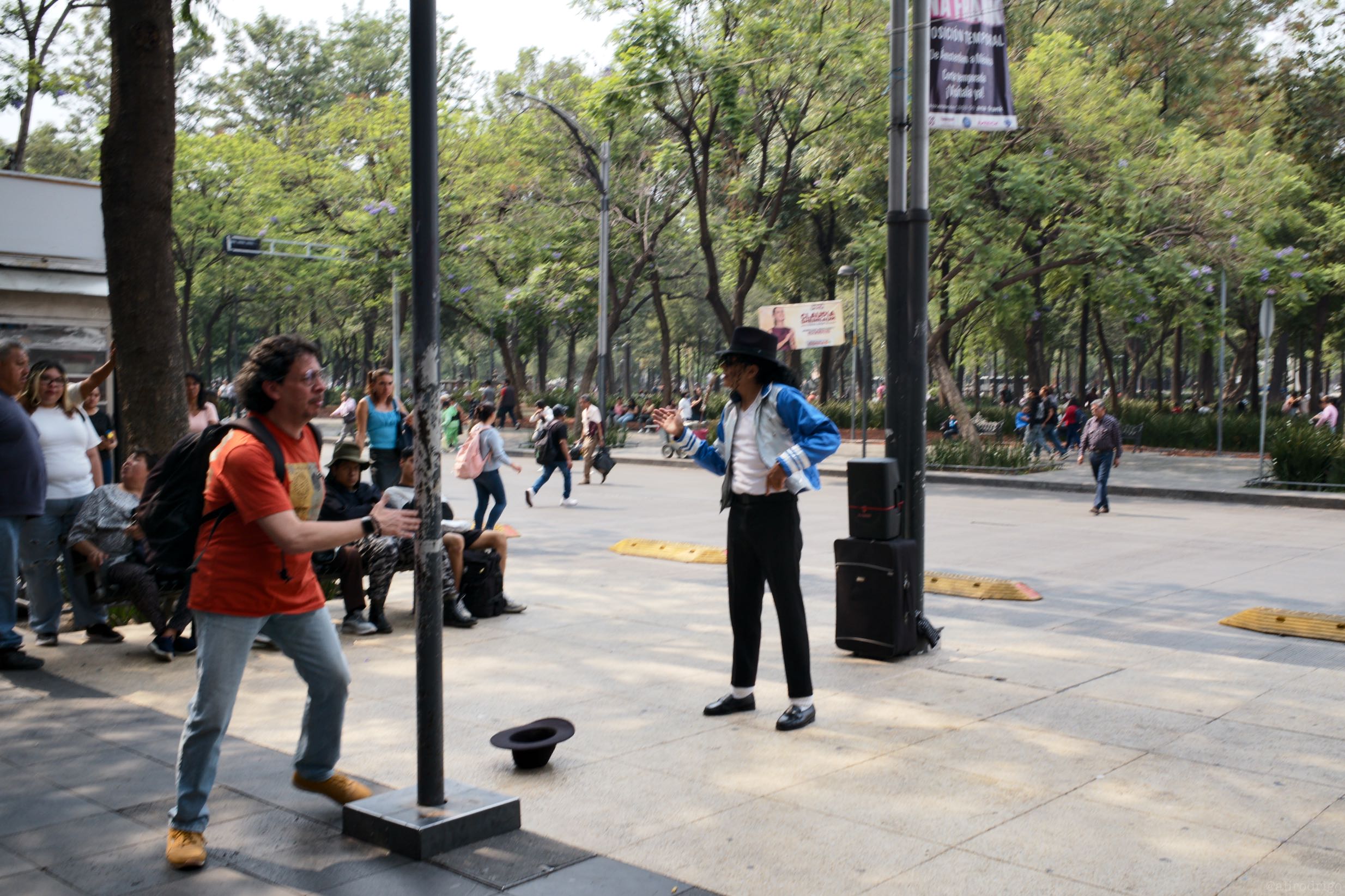 L1005502.jpg