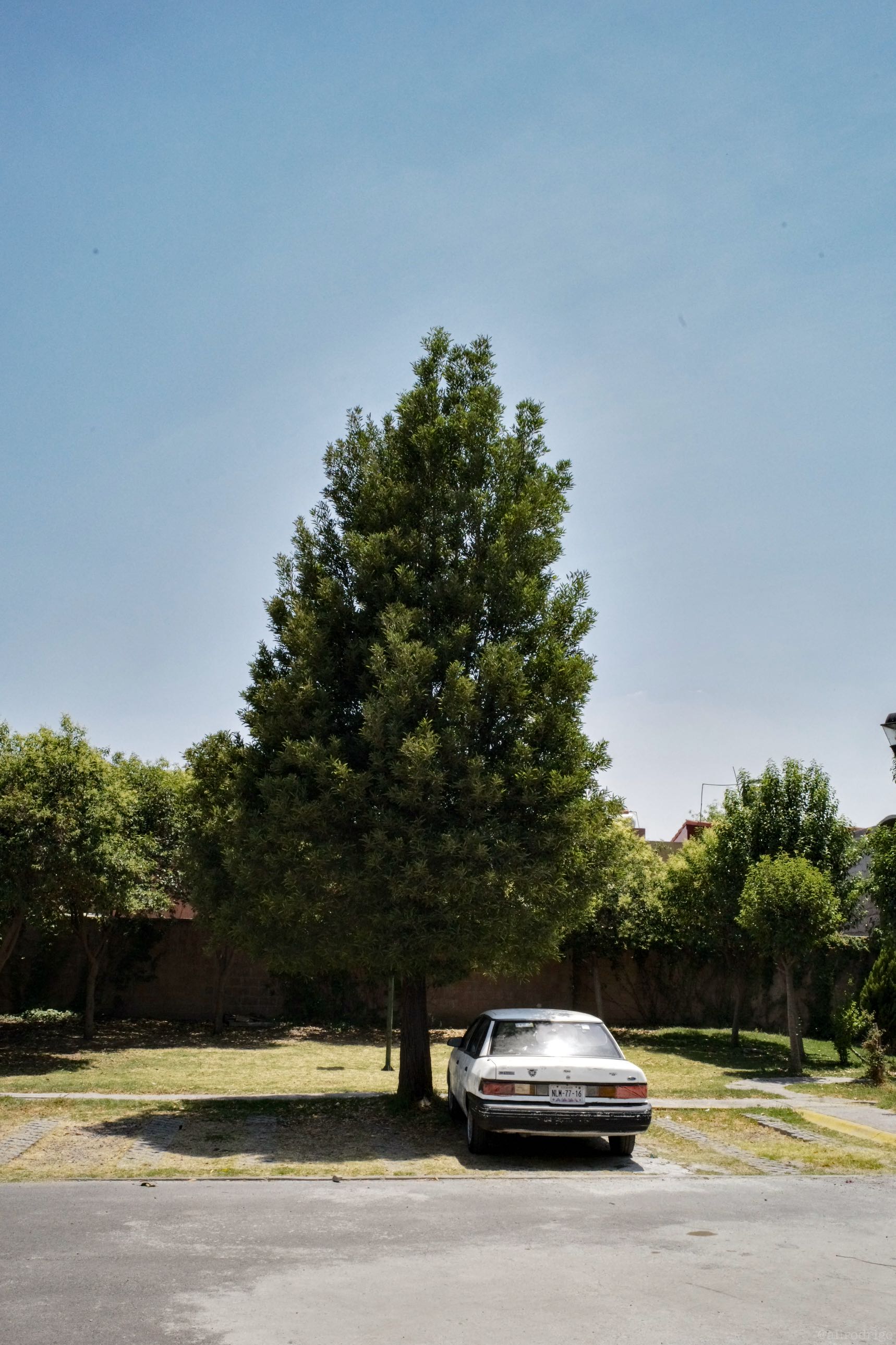L1005618.jpg