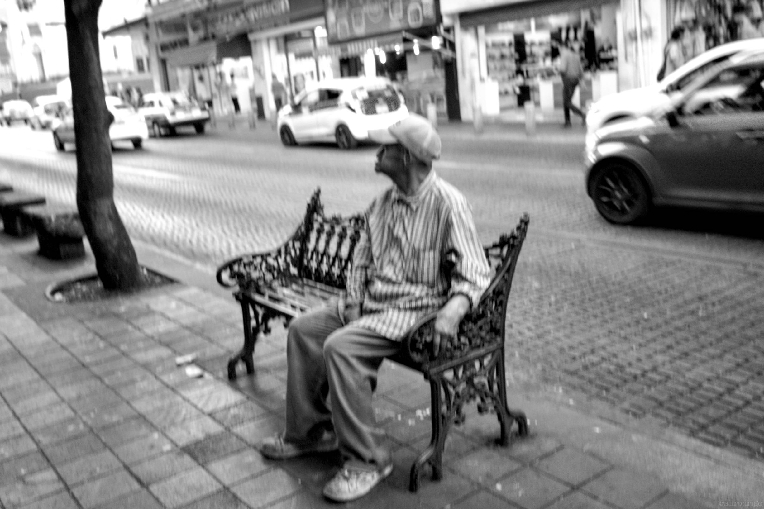 L1005781.jpg